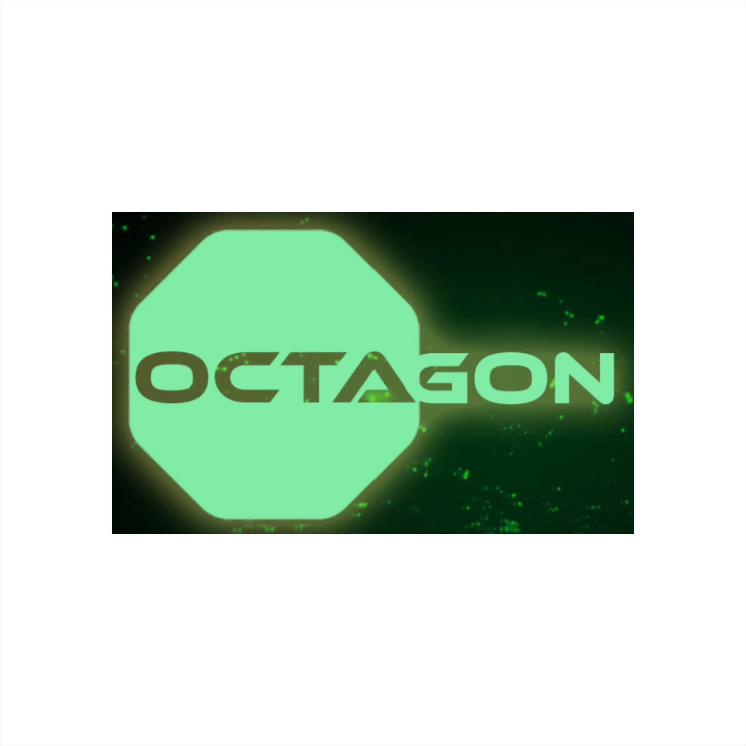 OCTAGON METATAINMENT