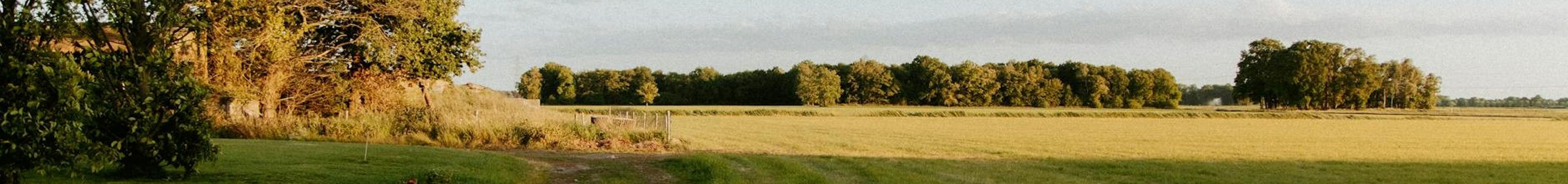 Niederlande