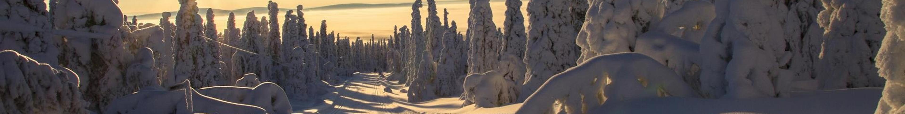 Finland – preview
