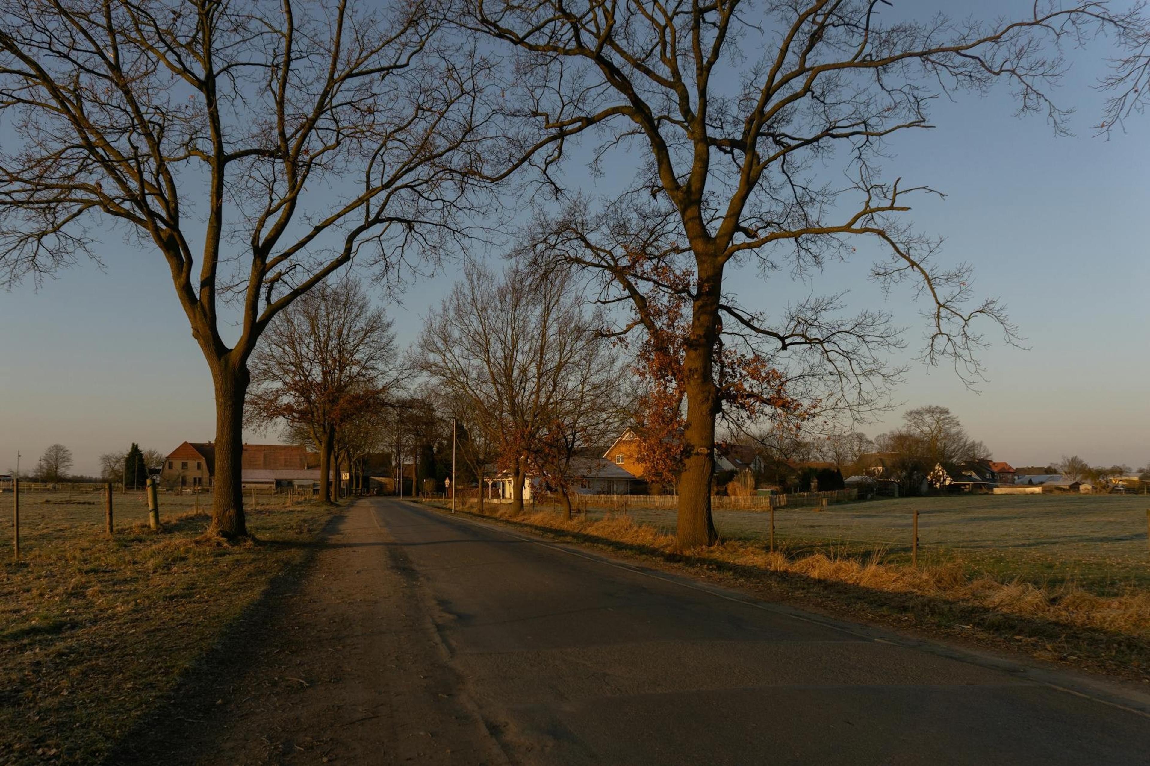 Germania