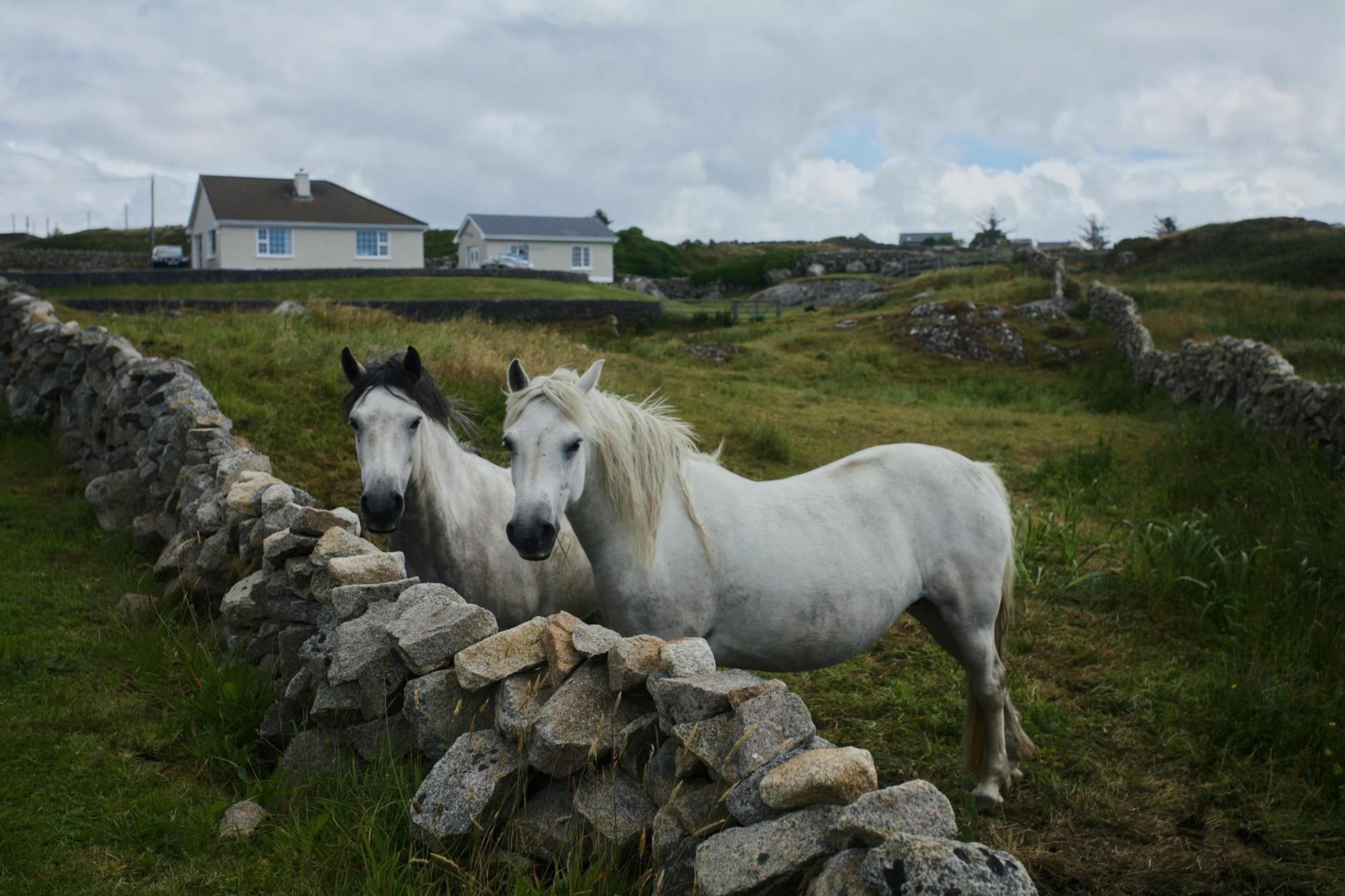 Irlanda
