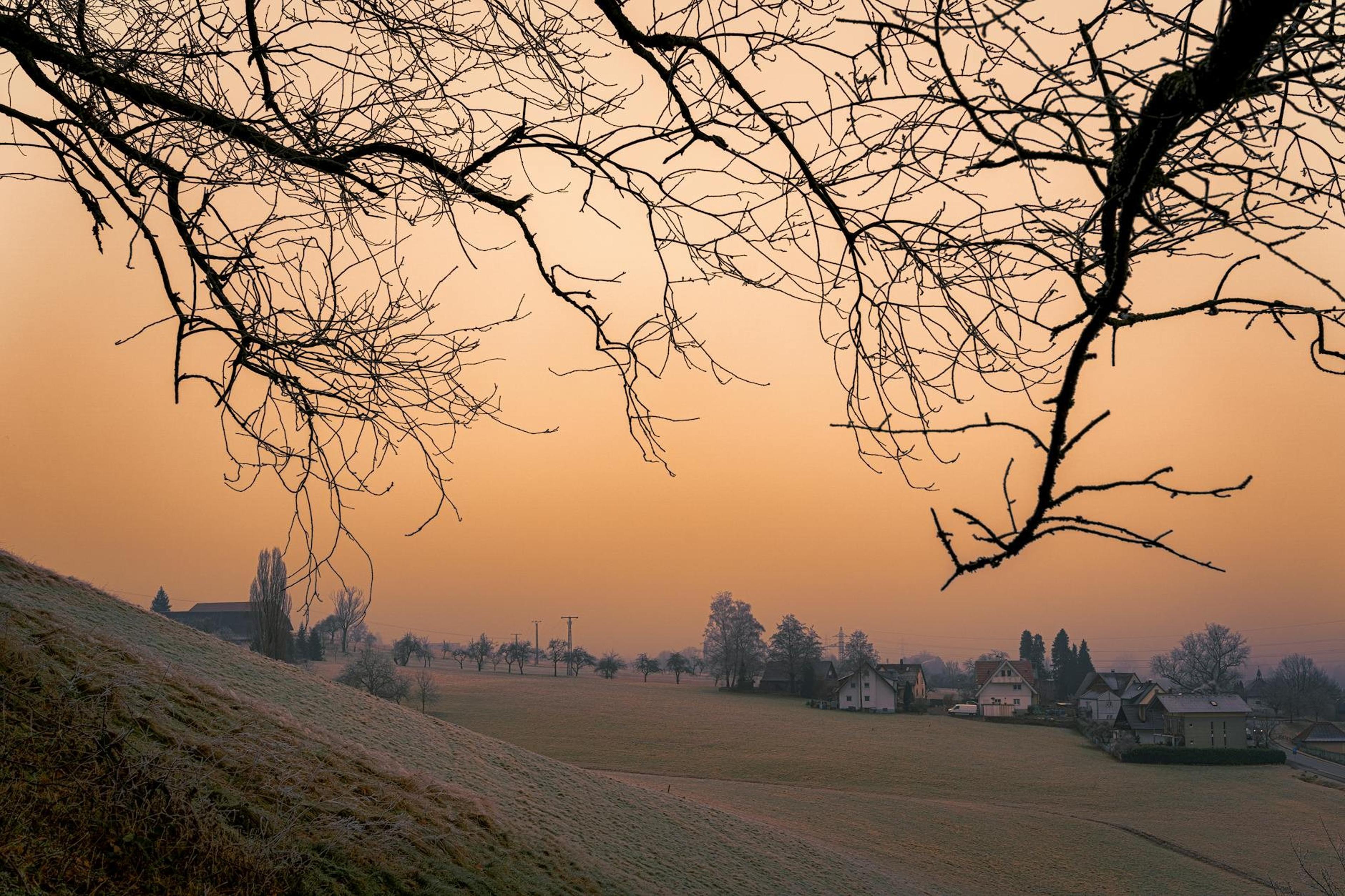 Germania