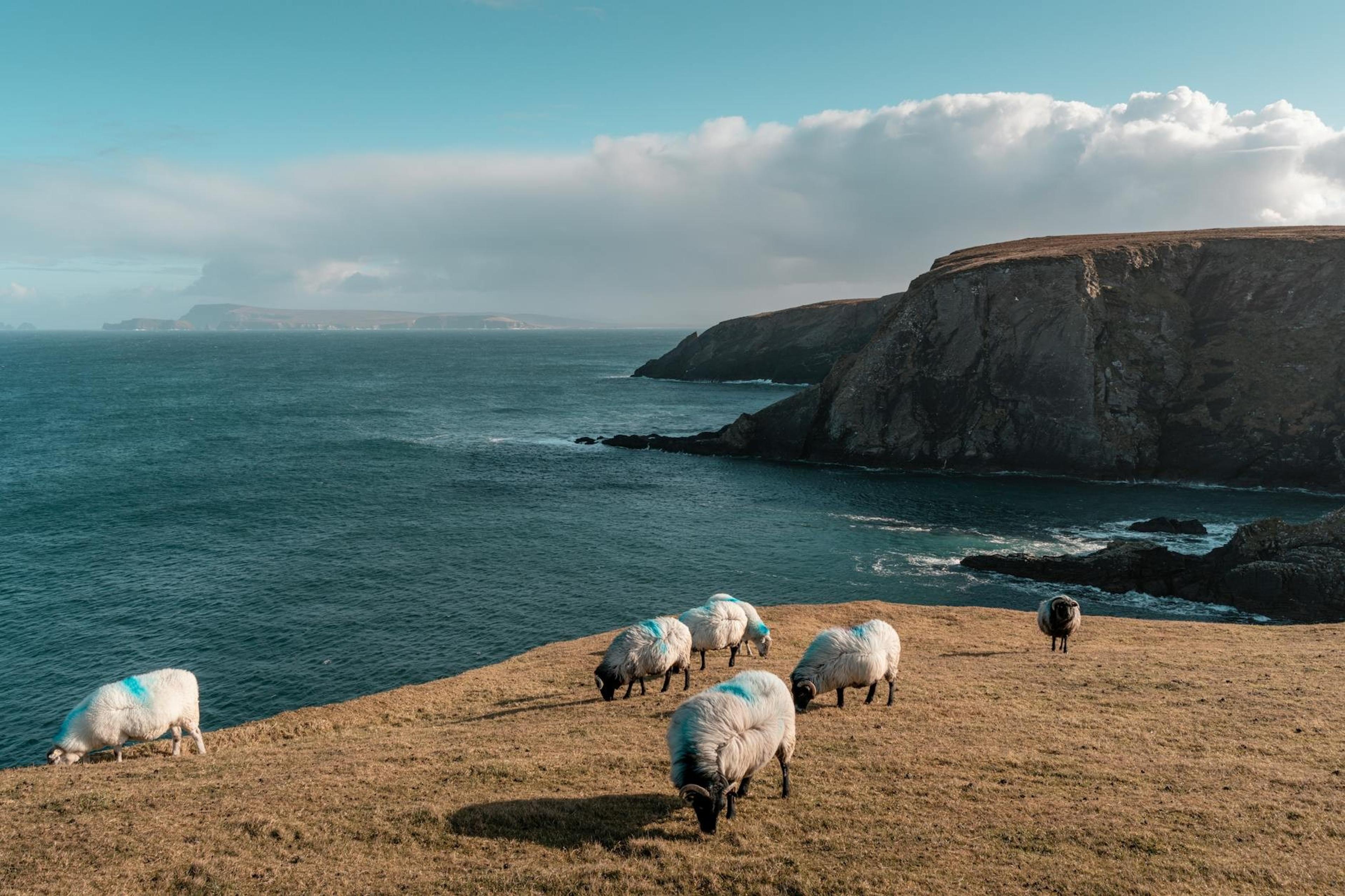 Irlanda