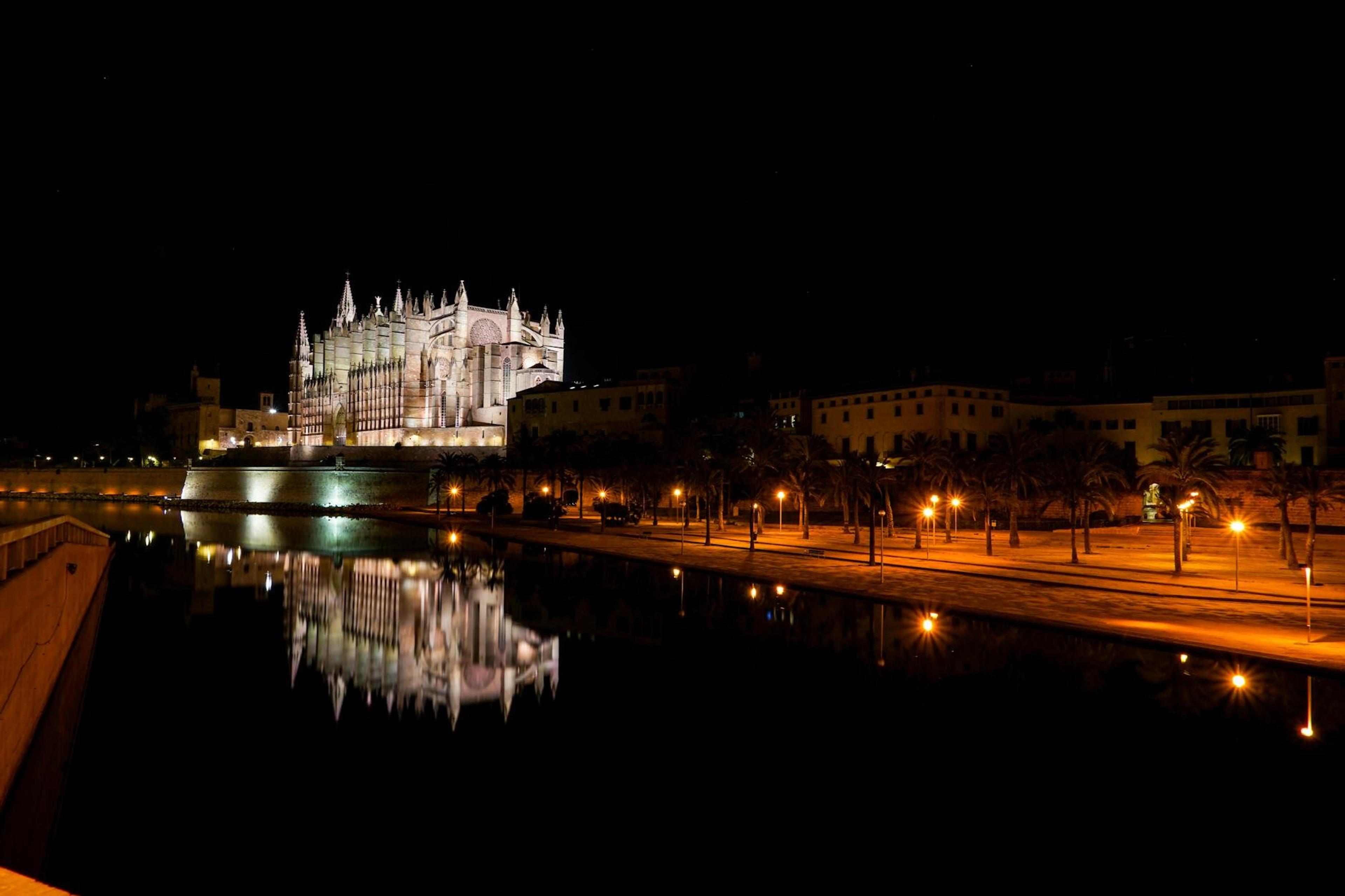 Palma – preview