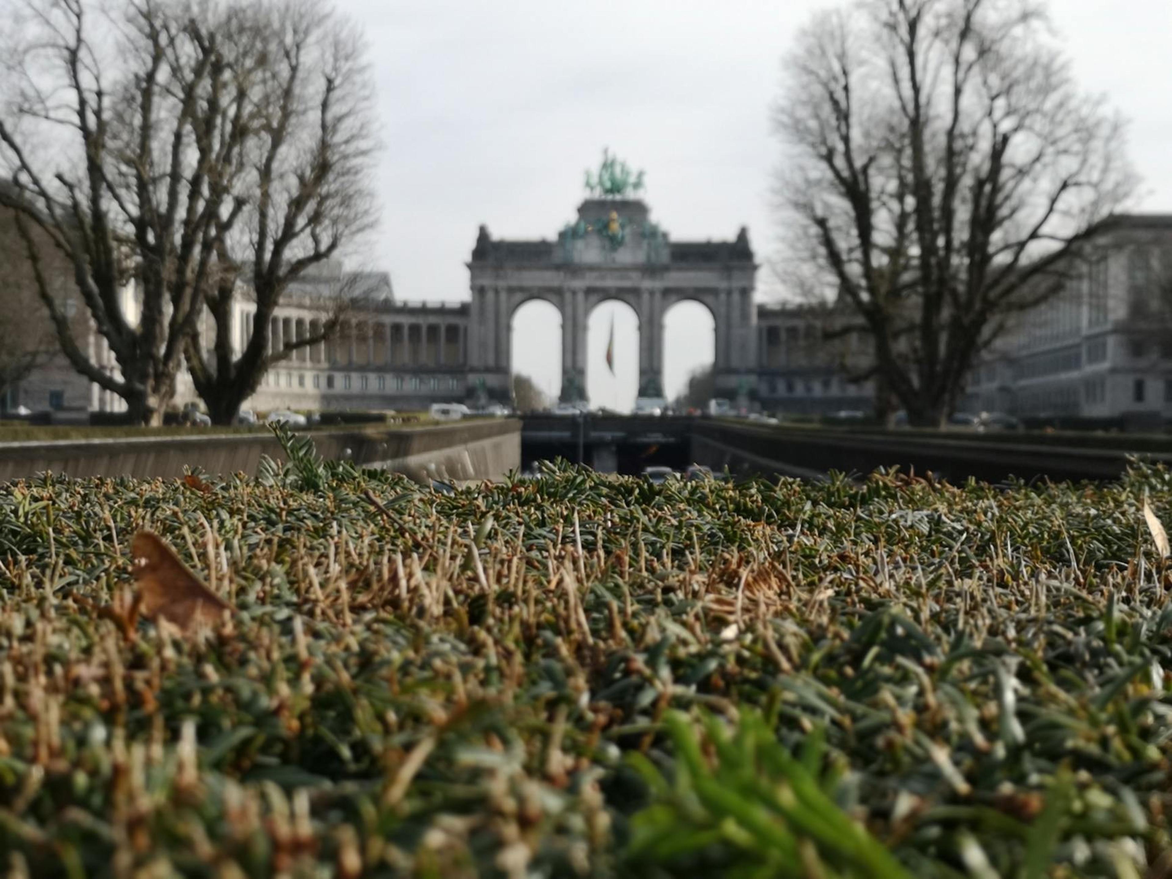 Brussels – preview