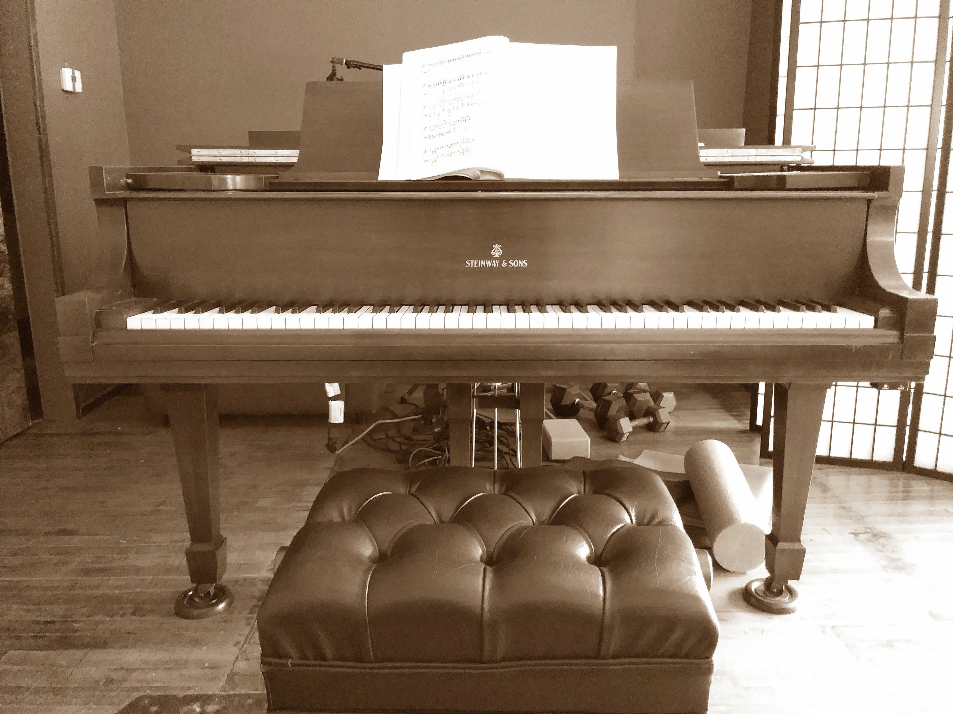 Audiophile Concert Hall and Recording Studio — foto 2