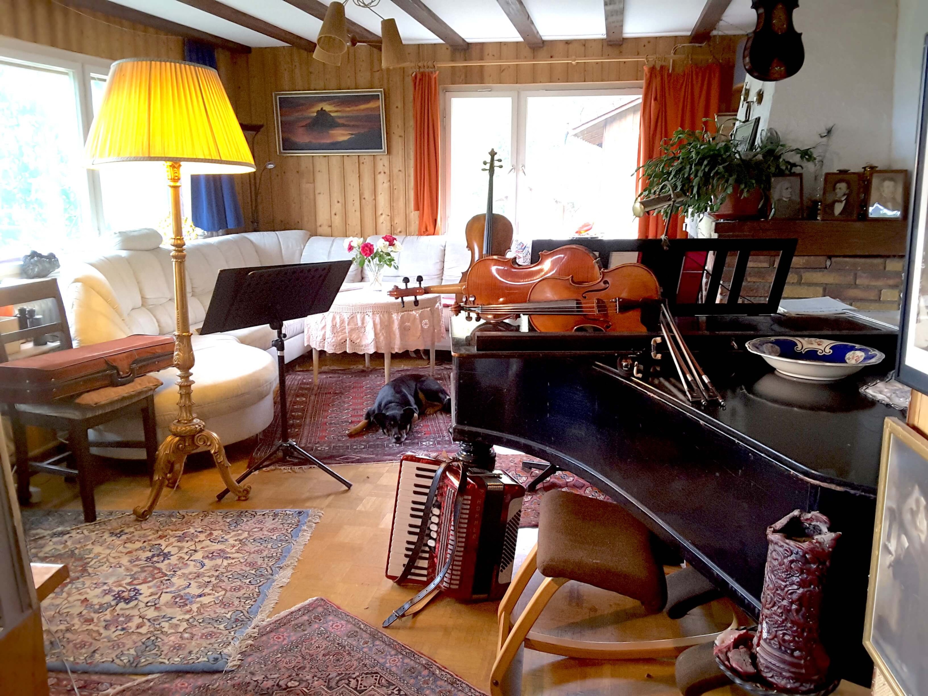 Grand Piano in black forest house — photo 2