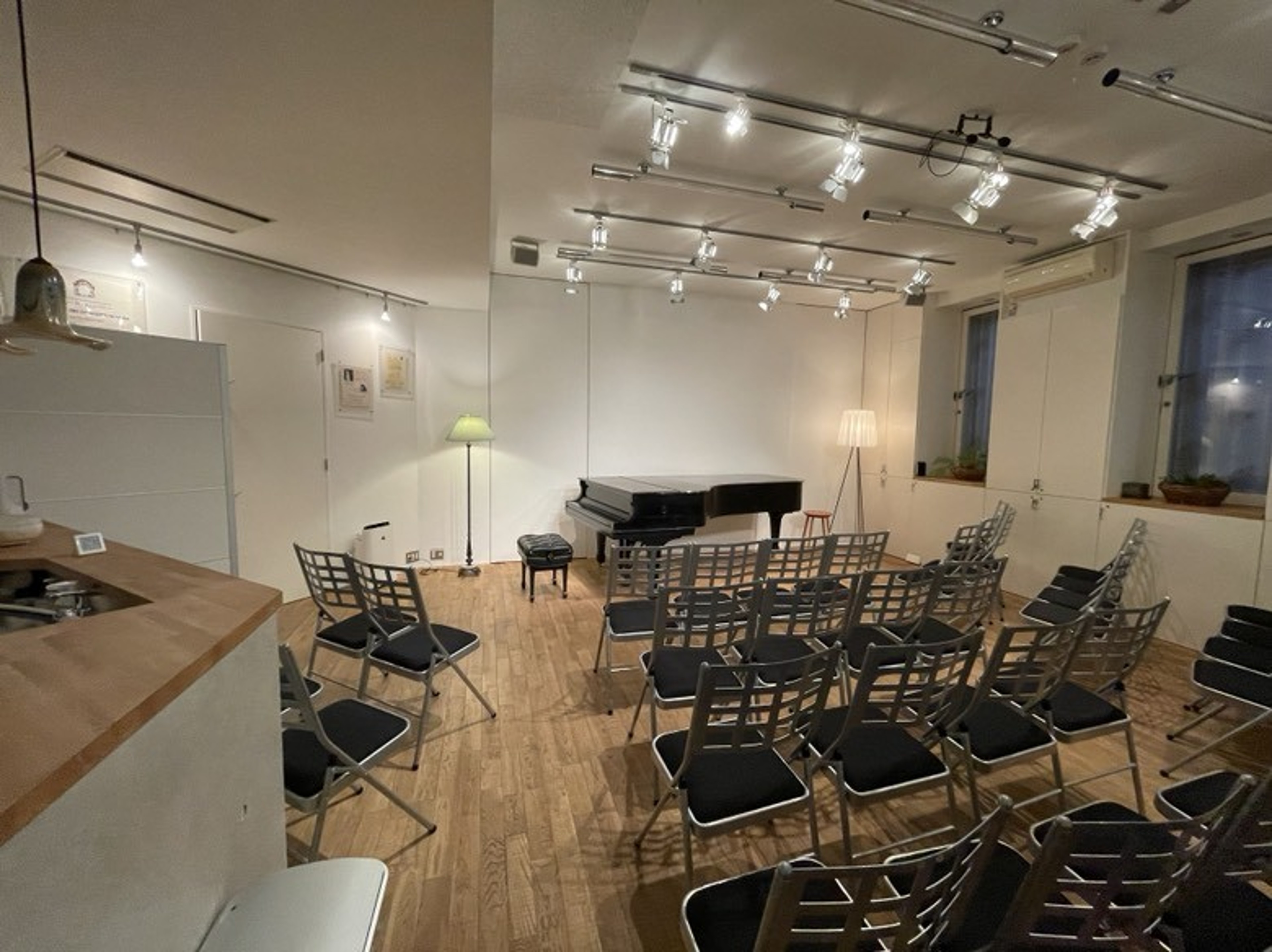 Excellent Music Salon with NY Steinway Model D — foto 4