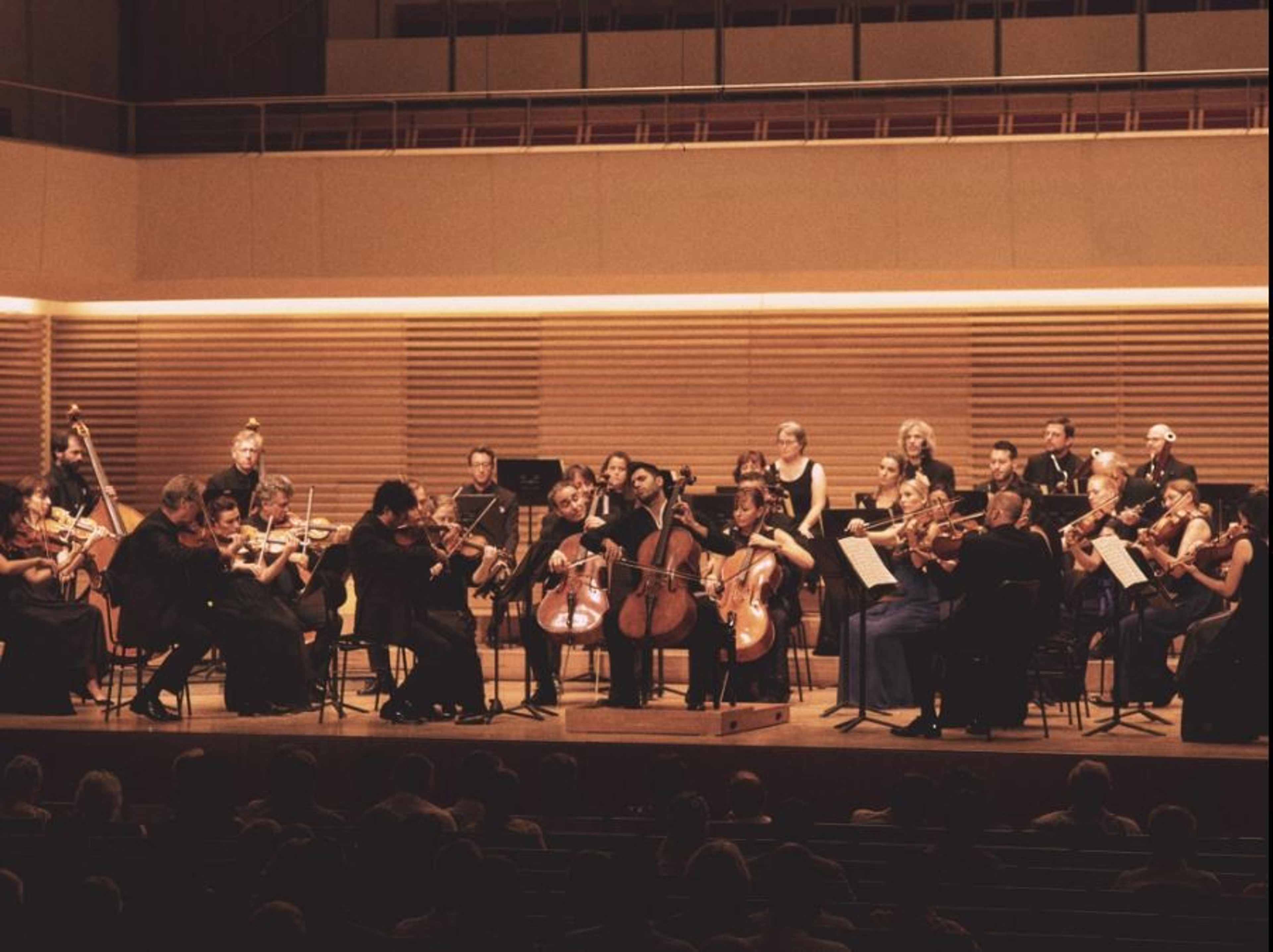 Majestic Auditorium for Concerts and Performances — Foto 5