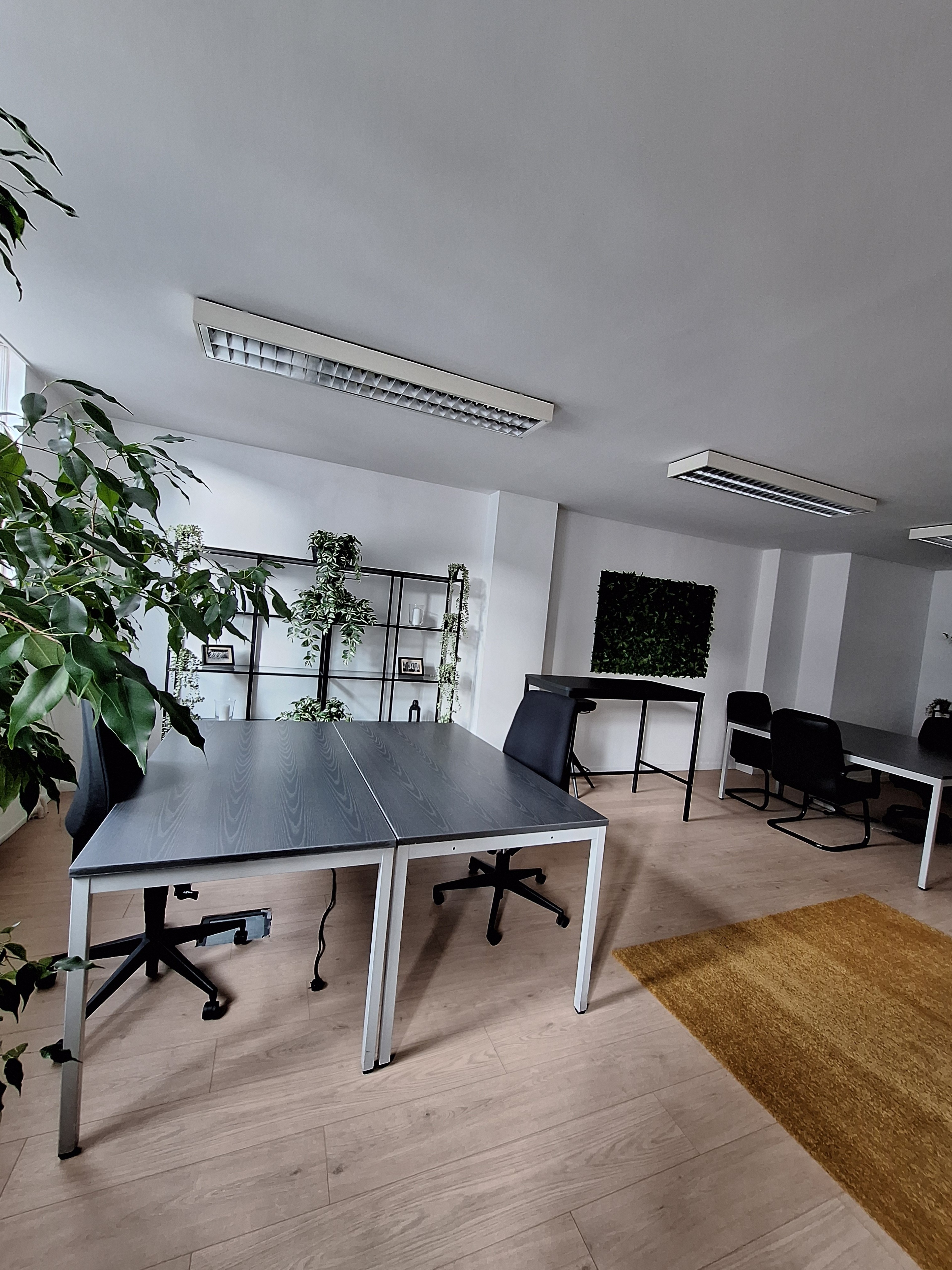 Bright Open Coworking Space with Hints of Green — Foto 4