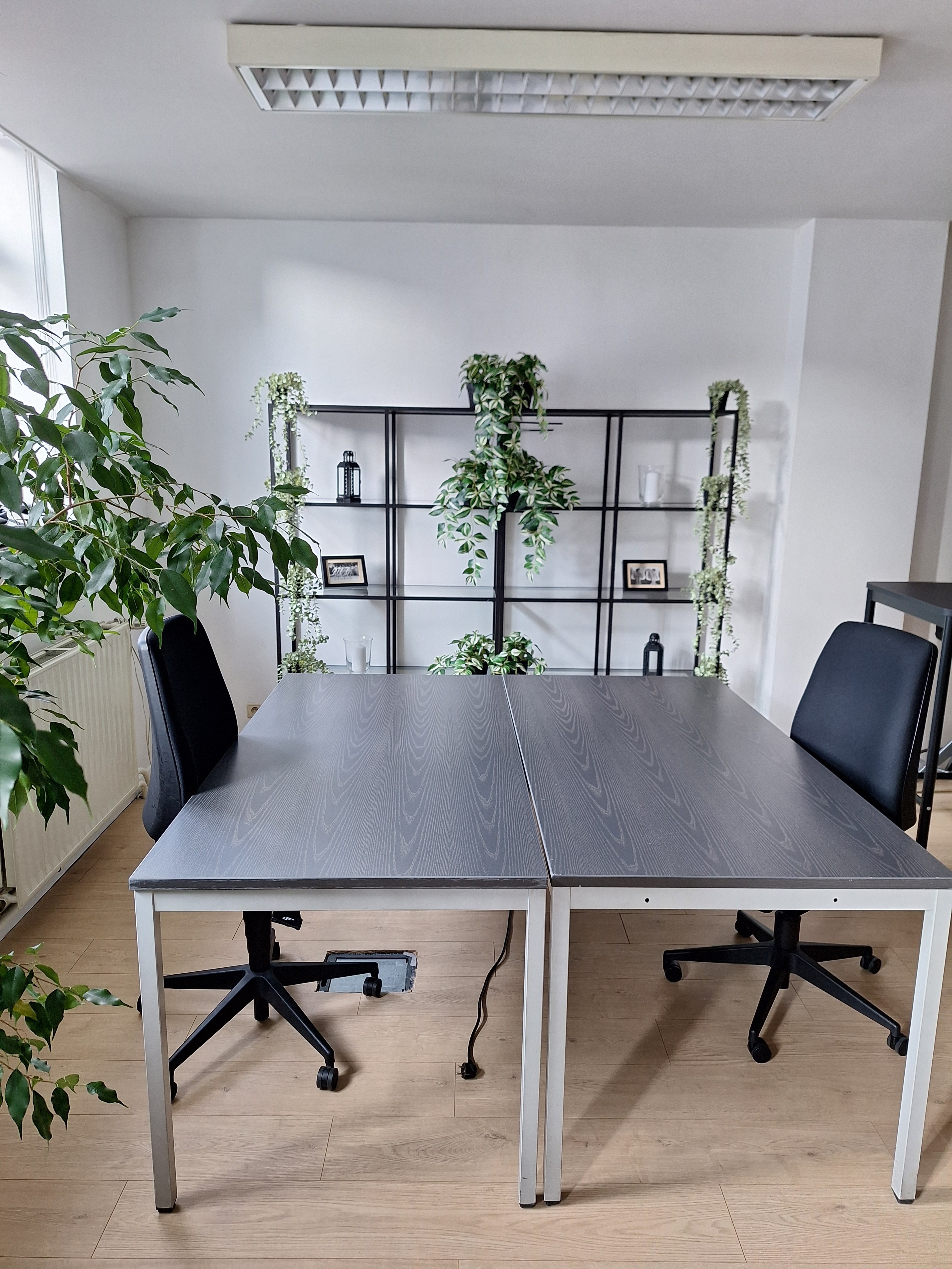 Bright Open Coworking Space with Hints of Green — Foto 5
