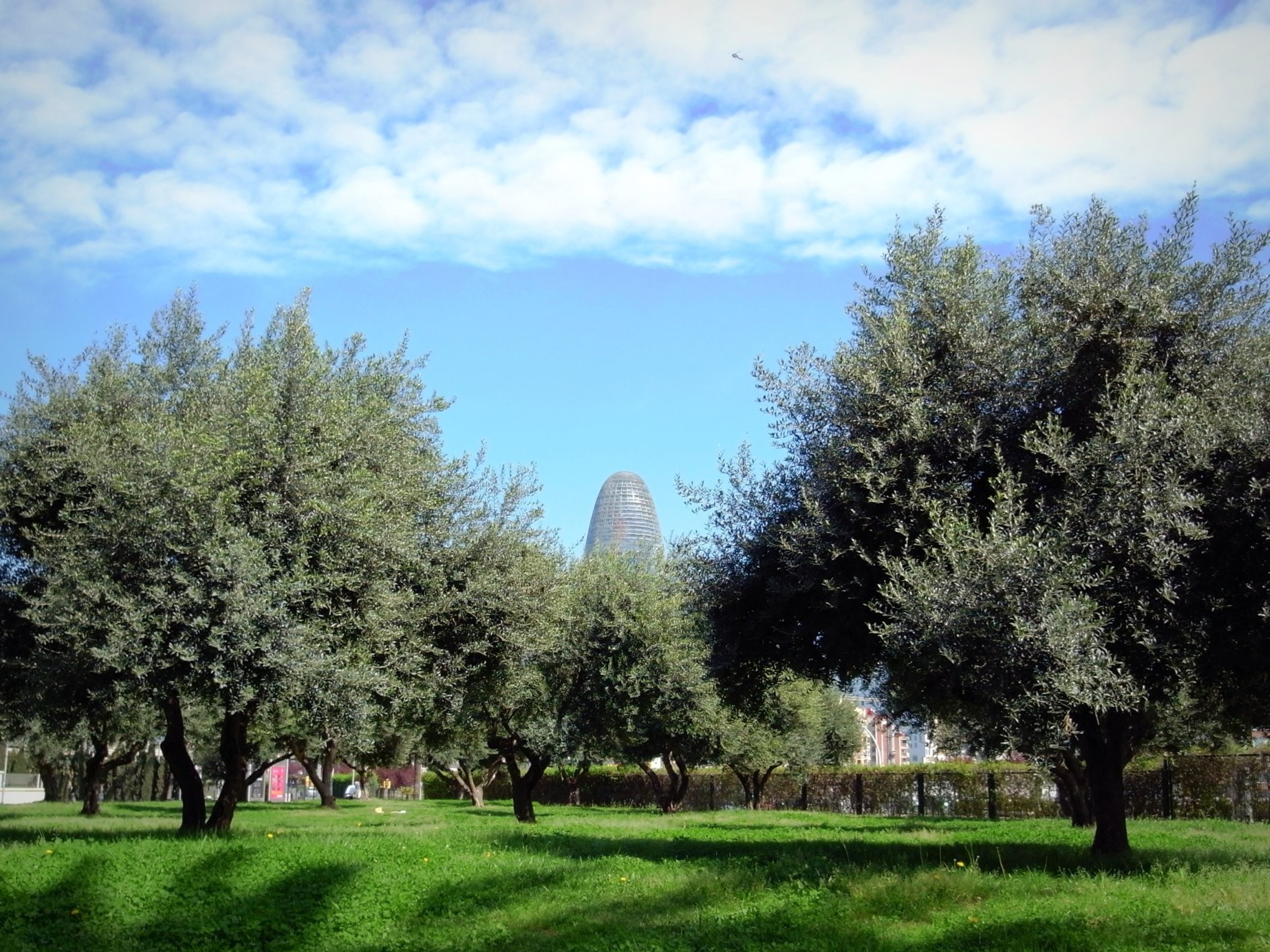 Main Garden — foto 2