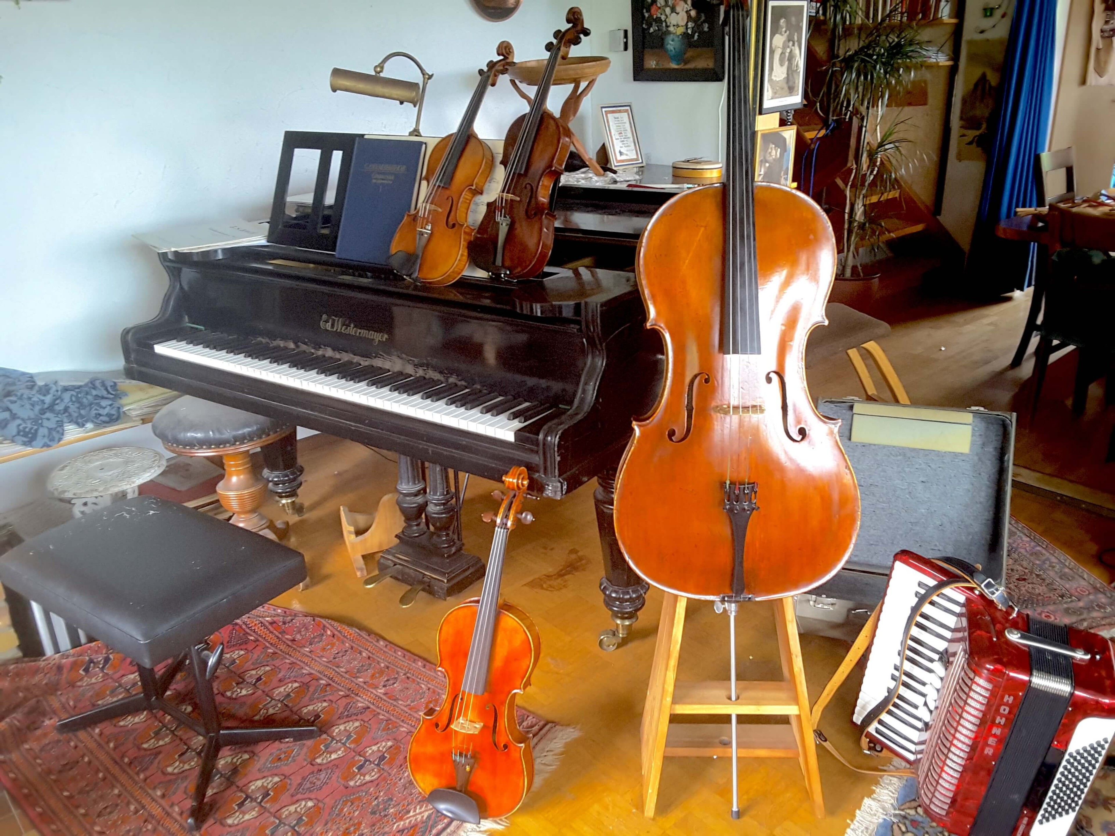 Grand Piano in black forest house — photo 3