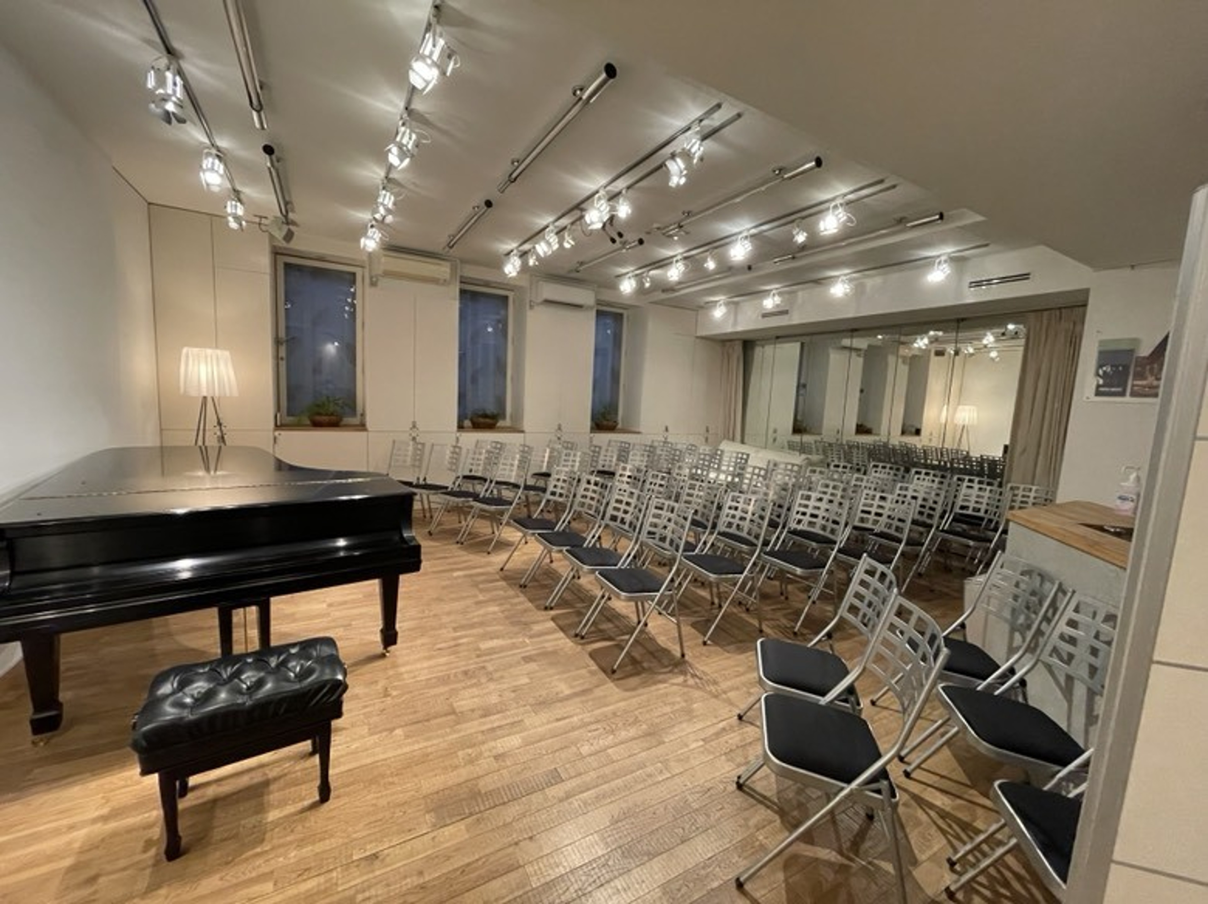 Excellent Music Salon with NY Steinway Model D — foto 2