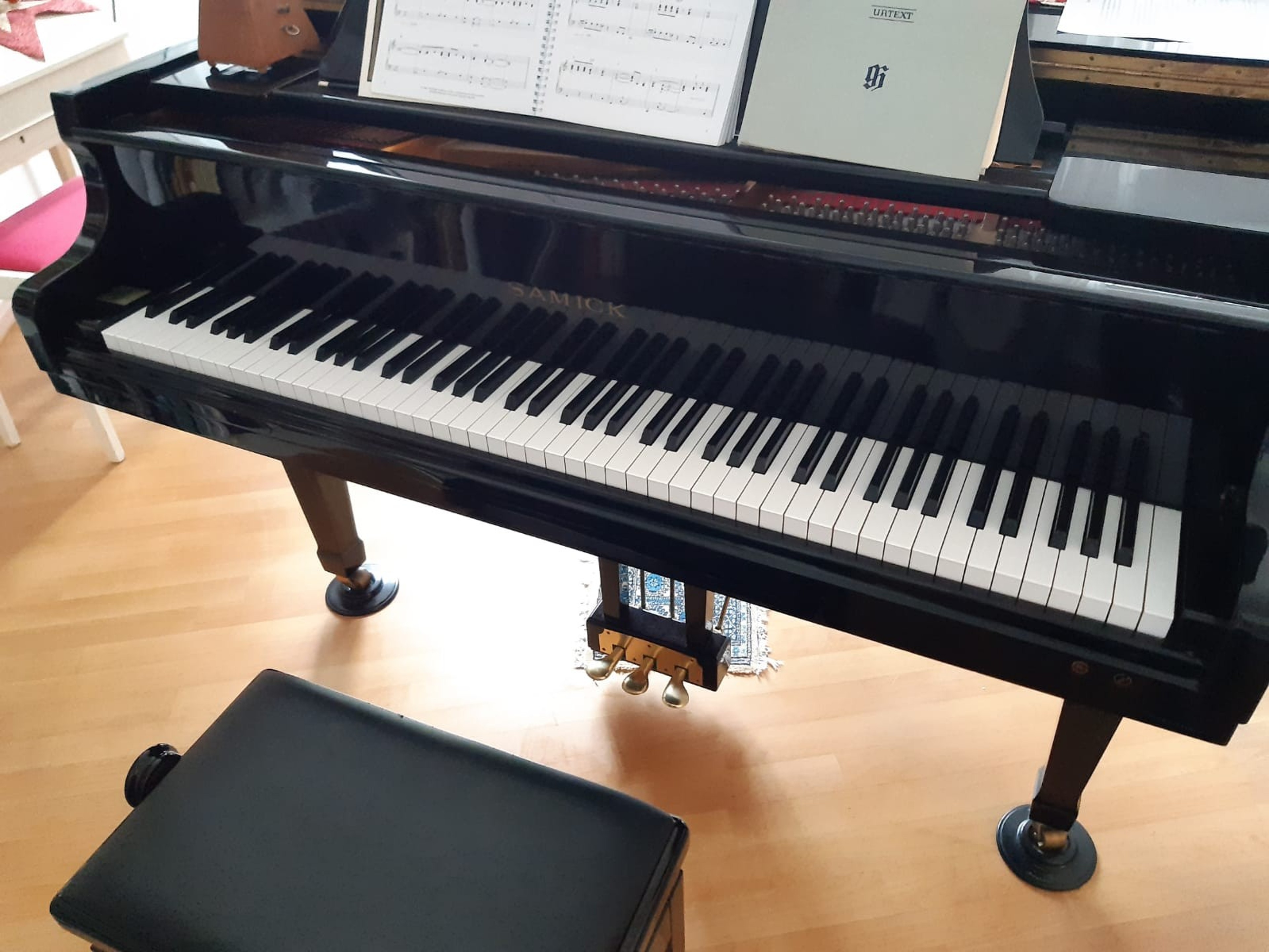 Grand Piano in Weil am Rhein close to Basel — foto 2