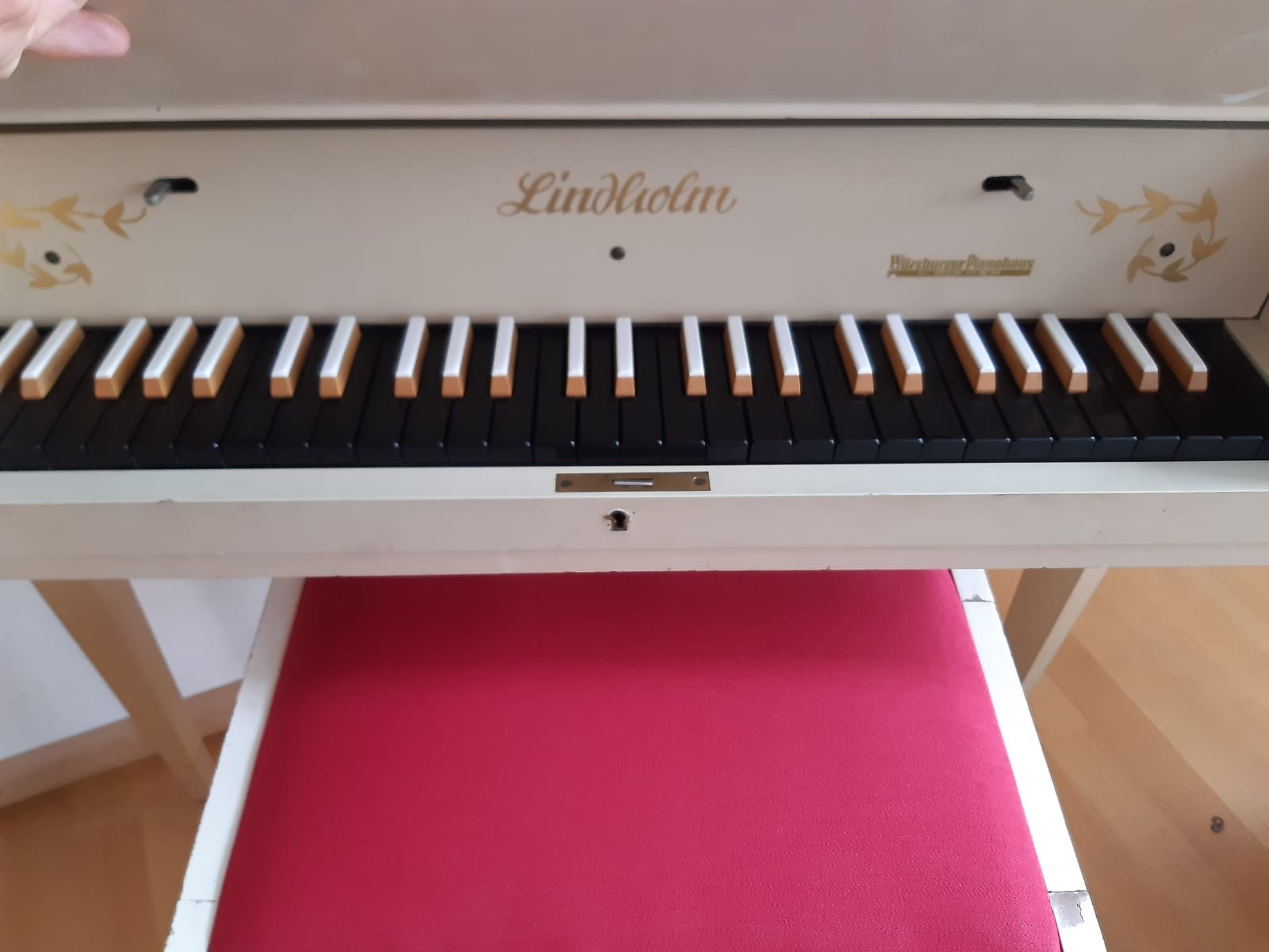 Grand Piano in Weil am Rhein close to Basel — foto 4