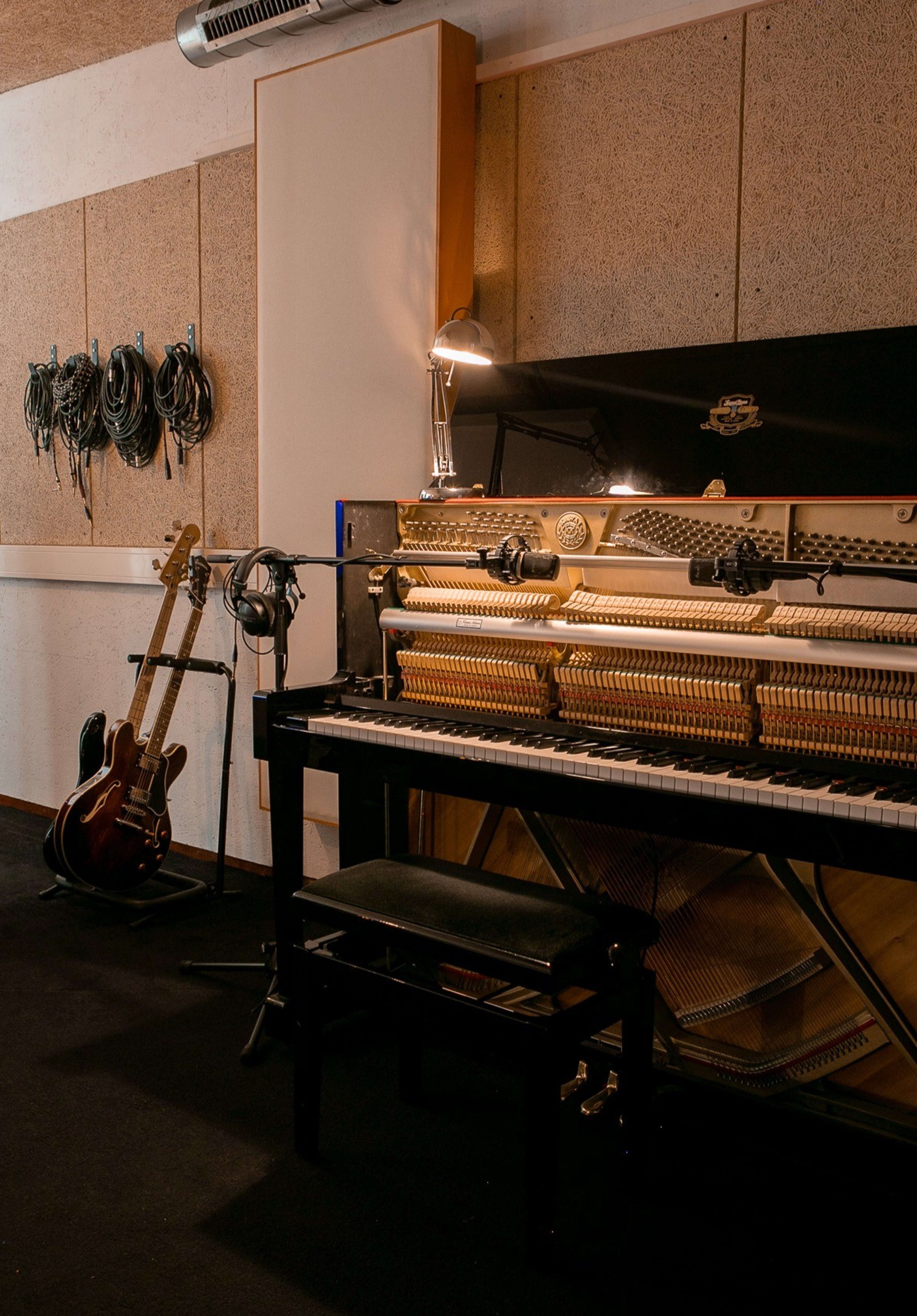 Recording, mixing and rehearsal studio Rotterdam — photo 3