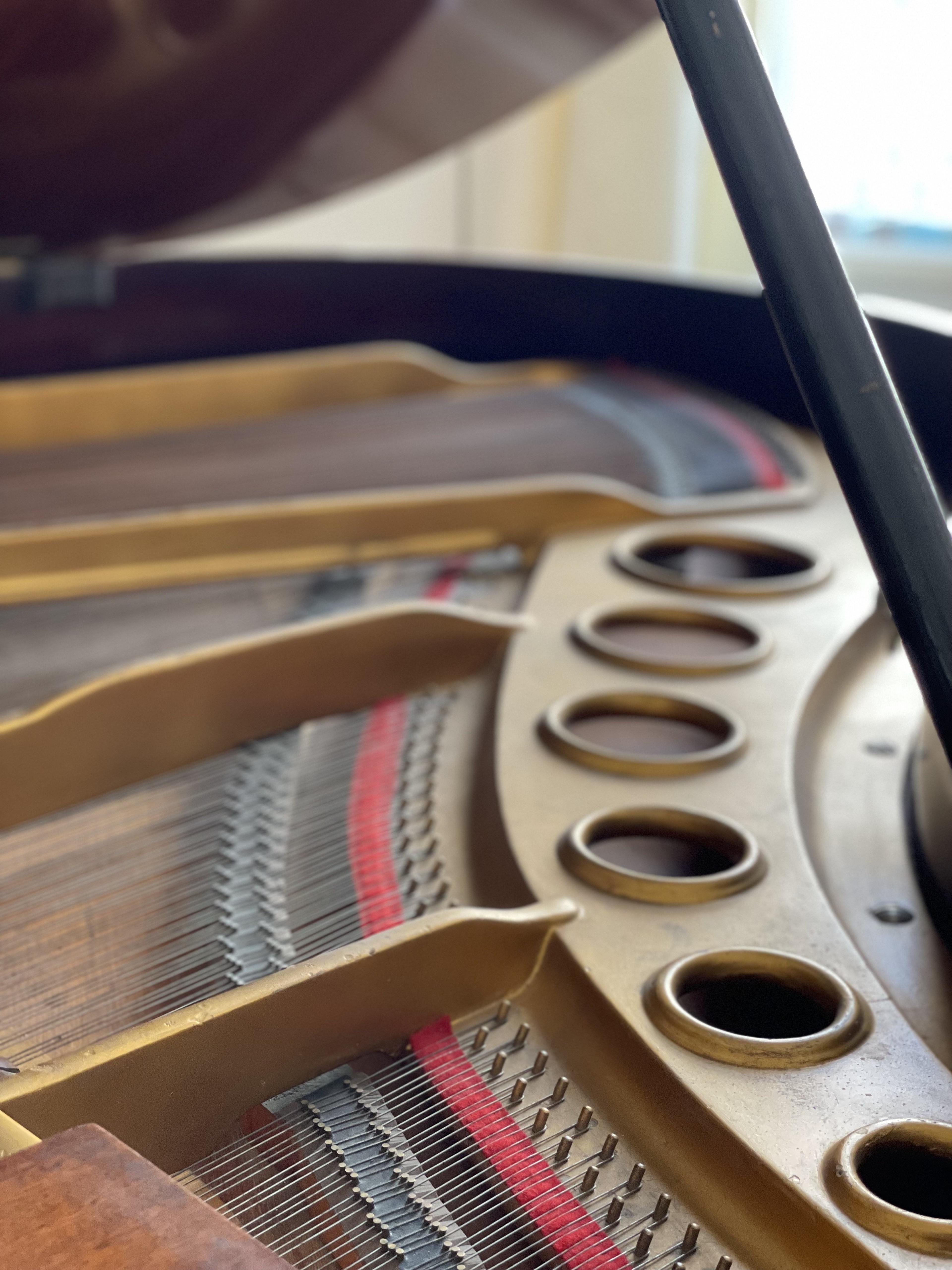 Piano Room next to the City Hall — Foto 2