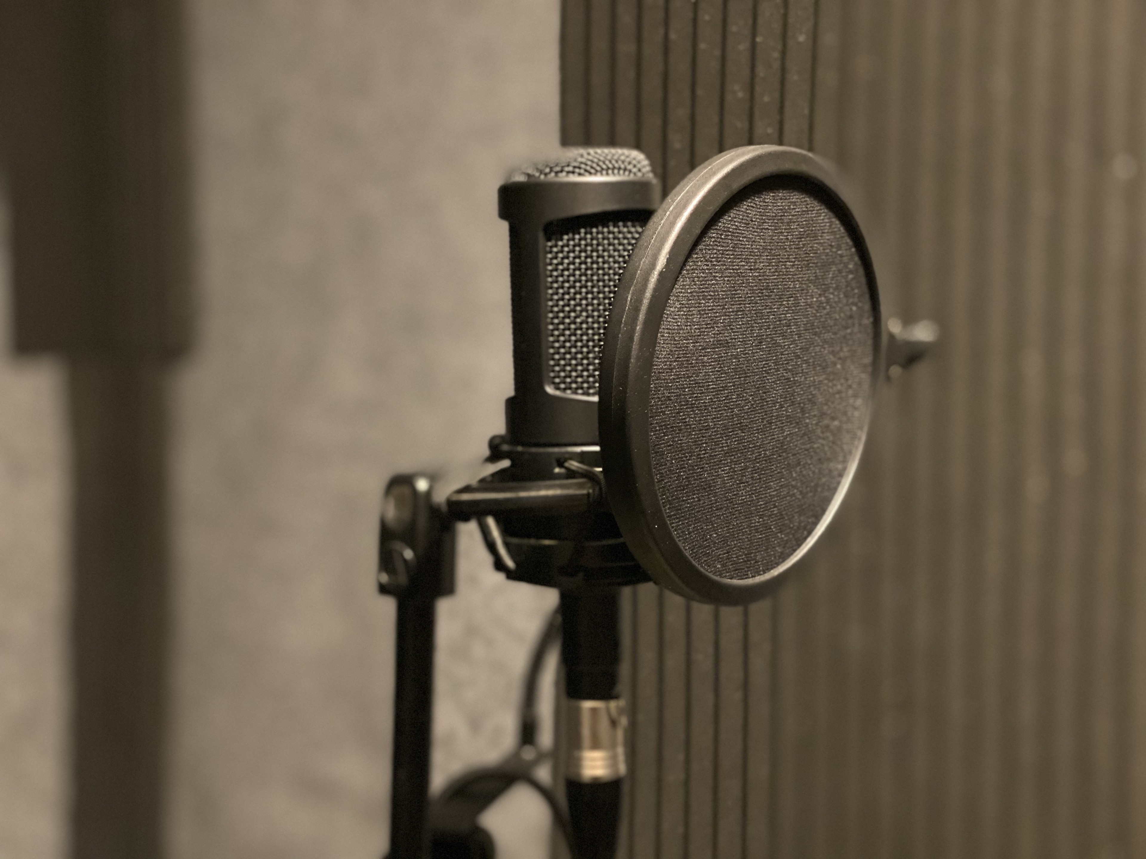 Cozy Recording Studio with various instruments — foto 4
