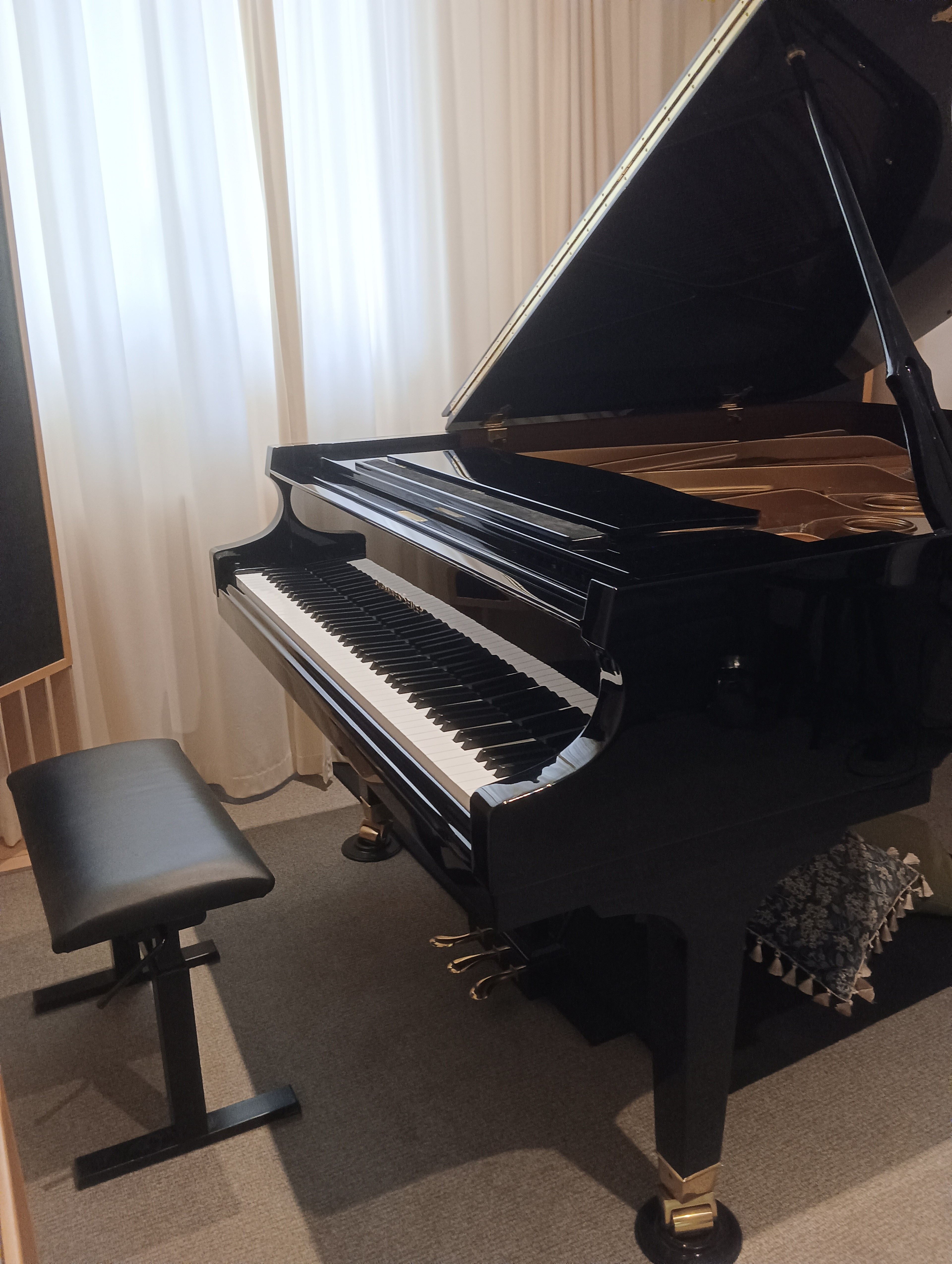 TonArt Piano Studio — foto 3