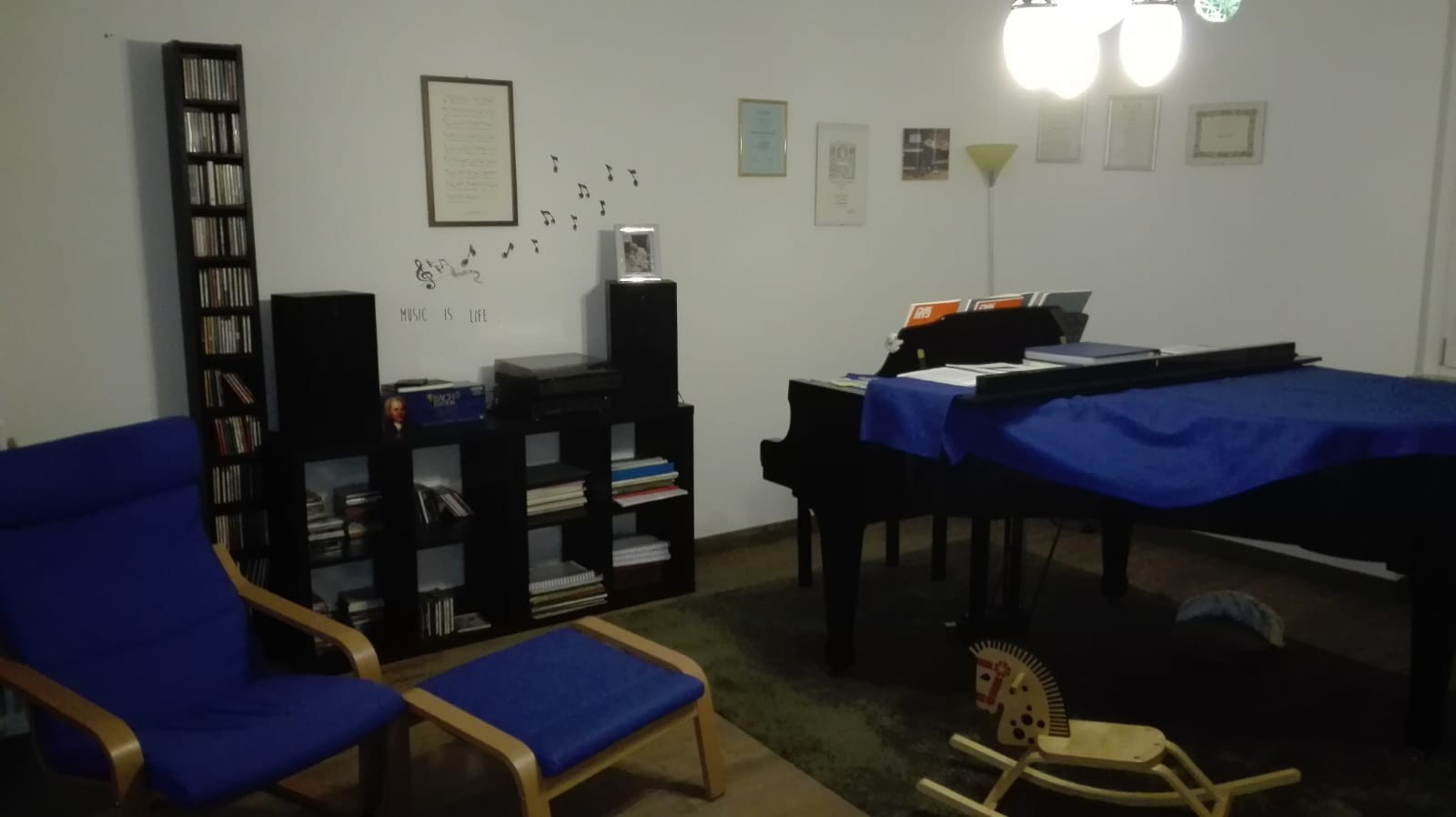 Grand Piano — foto 4