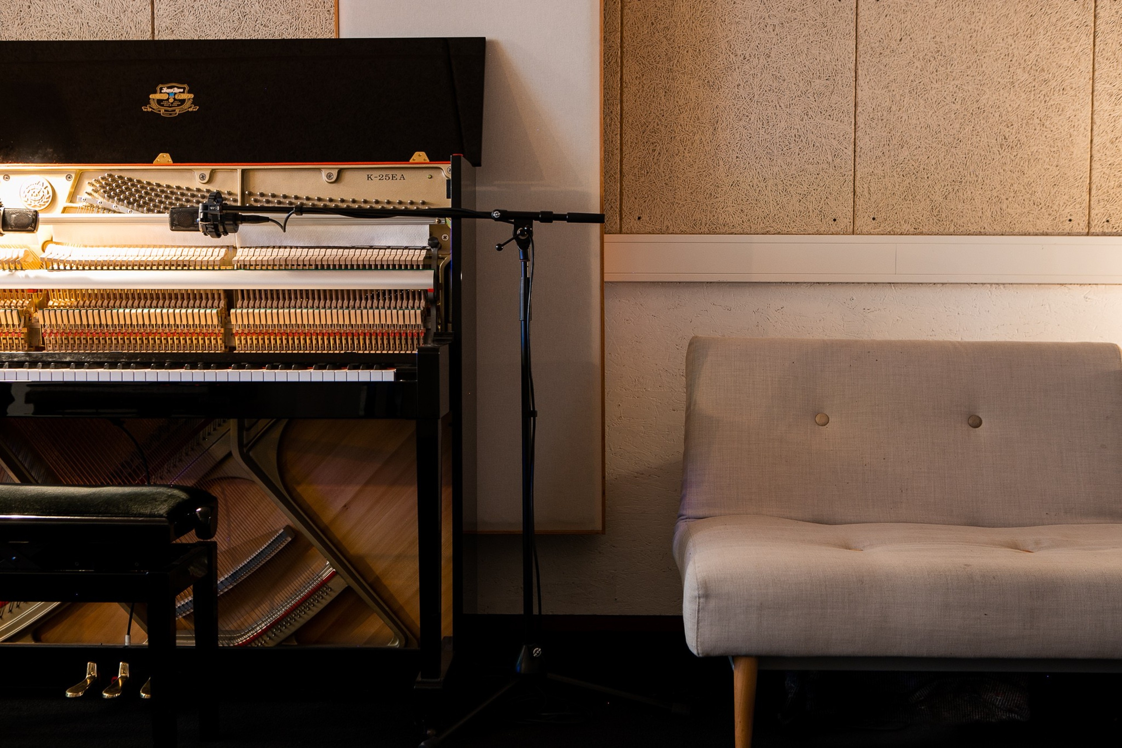 Recording, mixing and rehearsal studio Rotterdam — photo 2