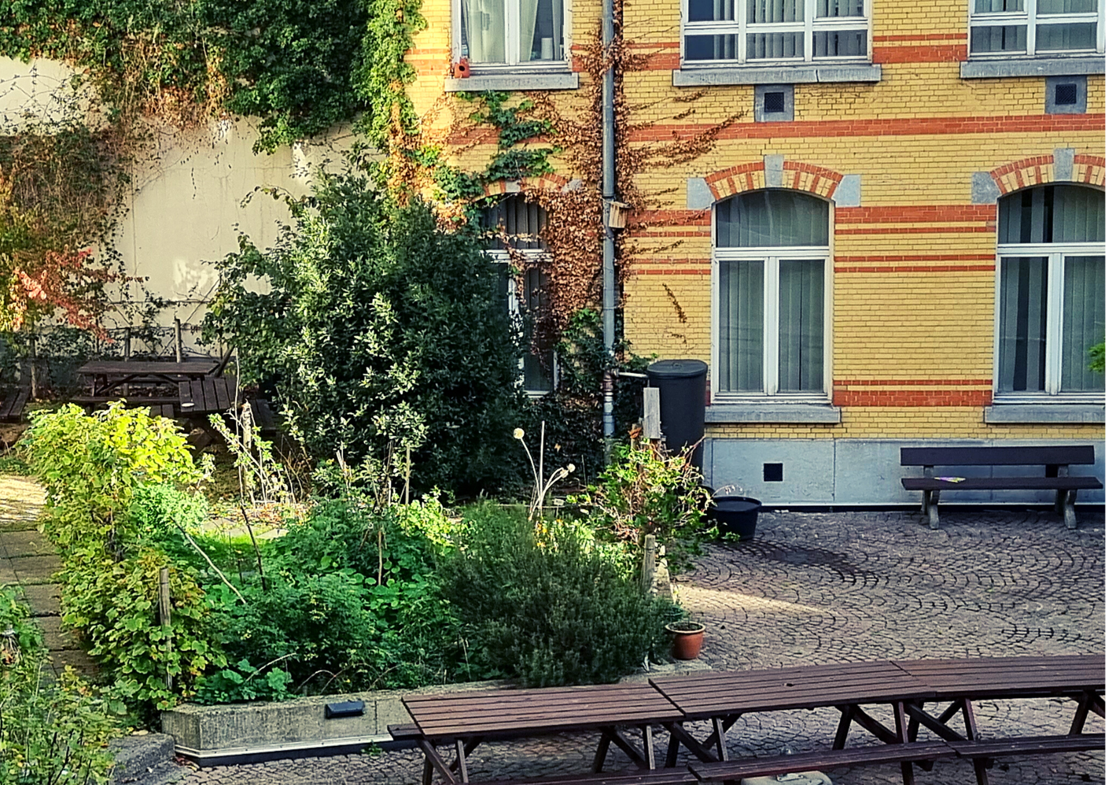 Hidden Forest in the City — foto 3