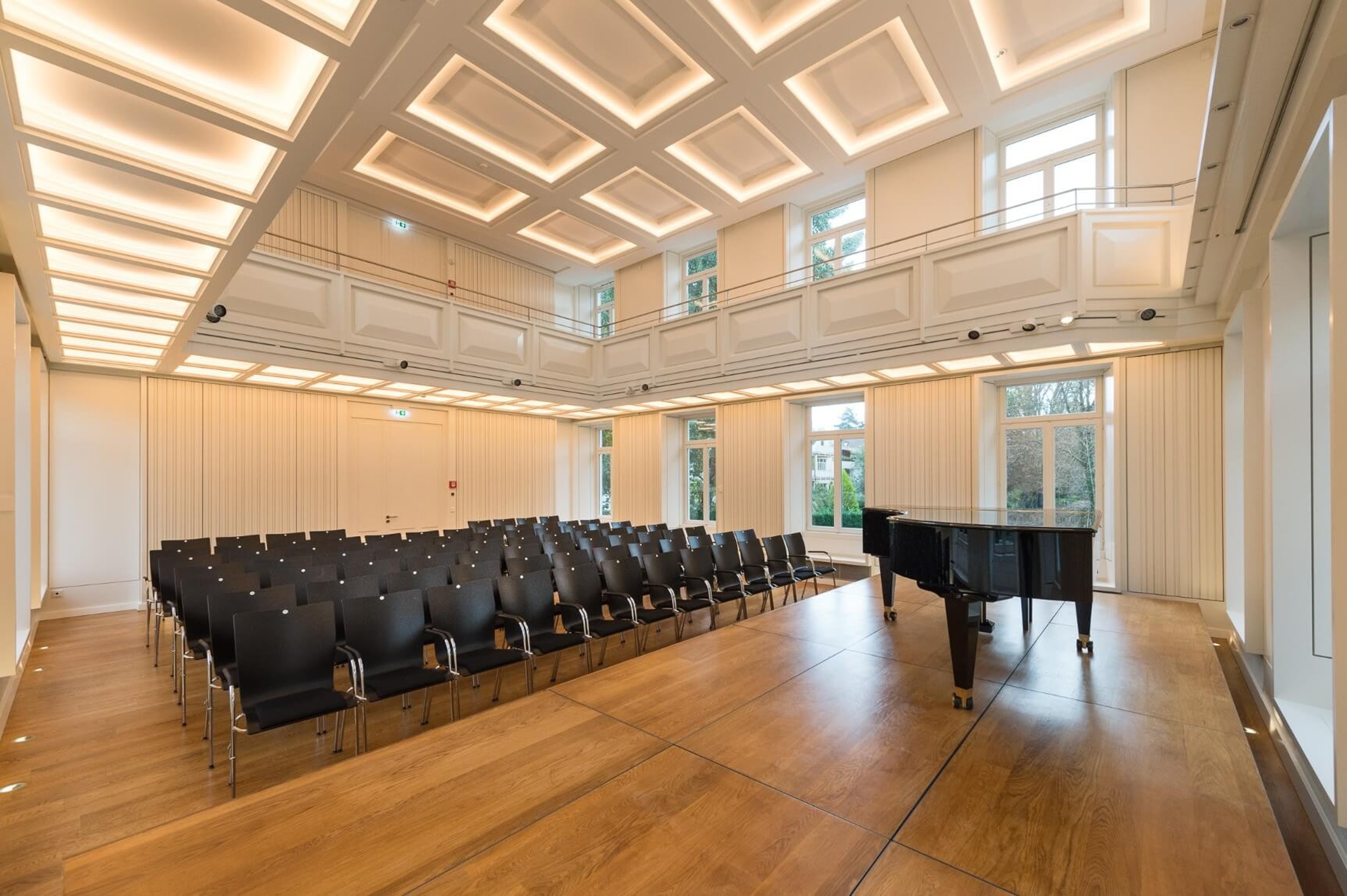 Beautiful concert hall in atmospheric palace by  Johann Hieronymus von Holzhausen — photo 2
