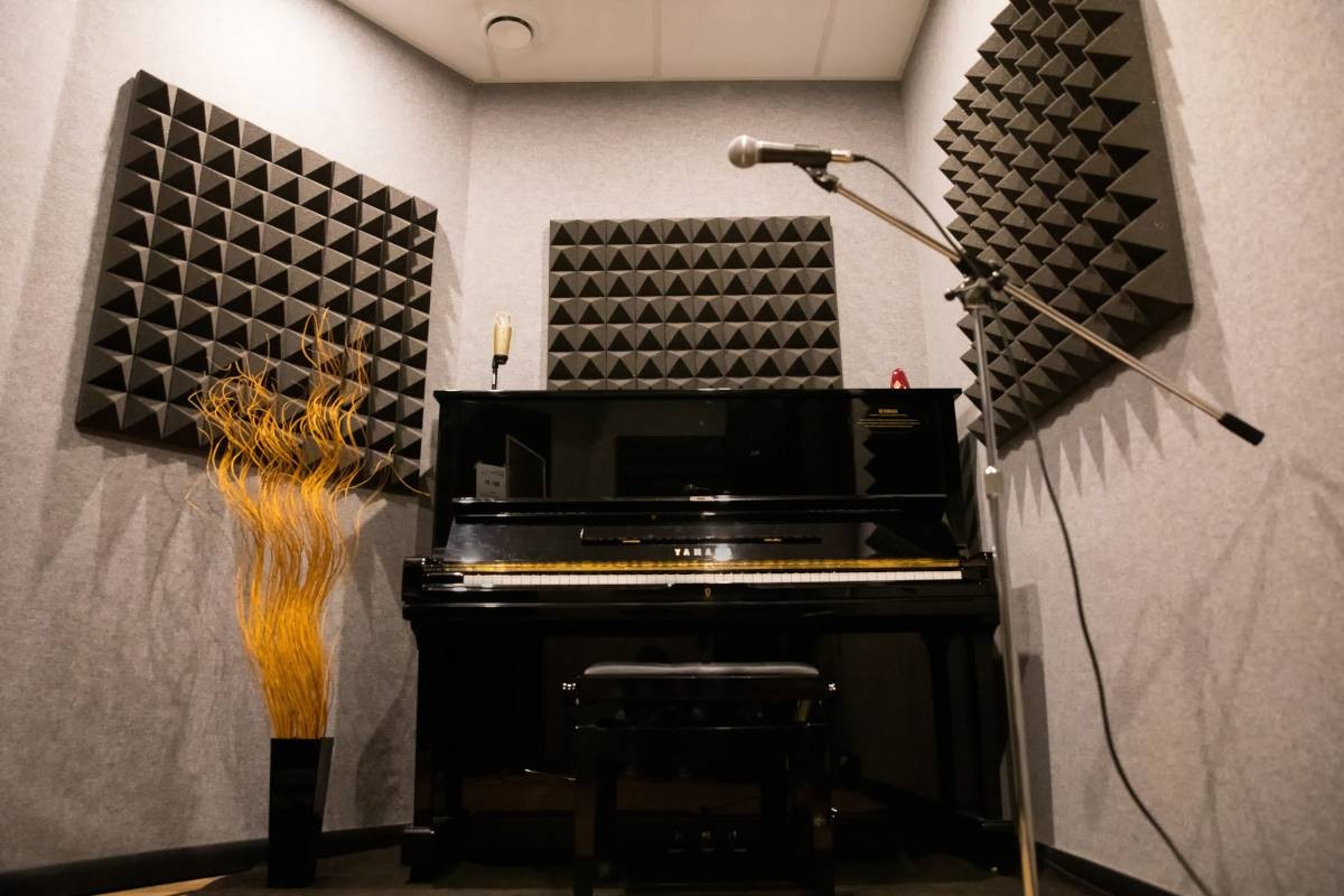 Blue Note Recording Studio — Foto 3