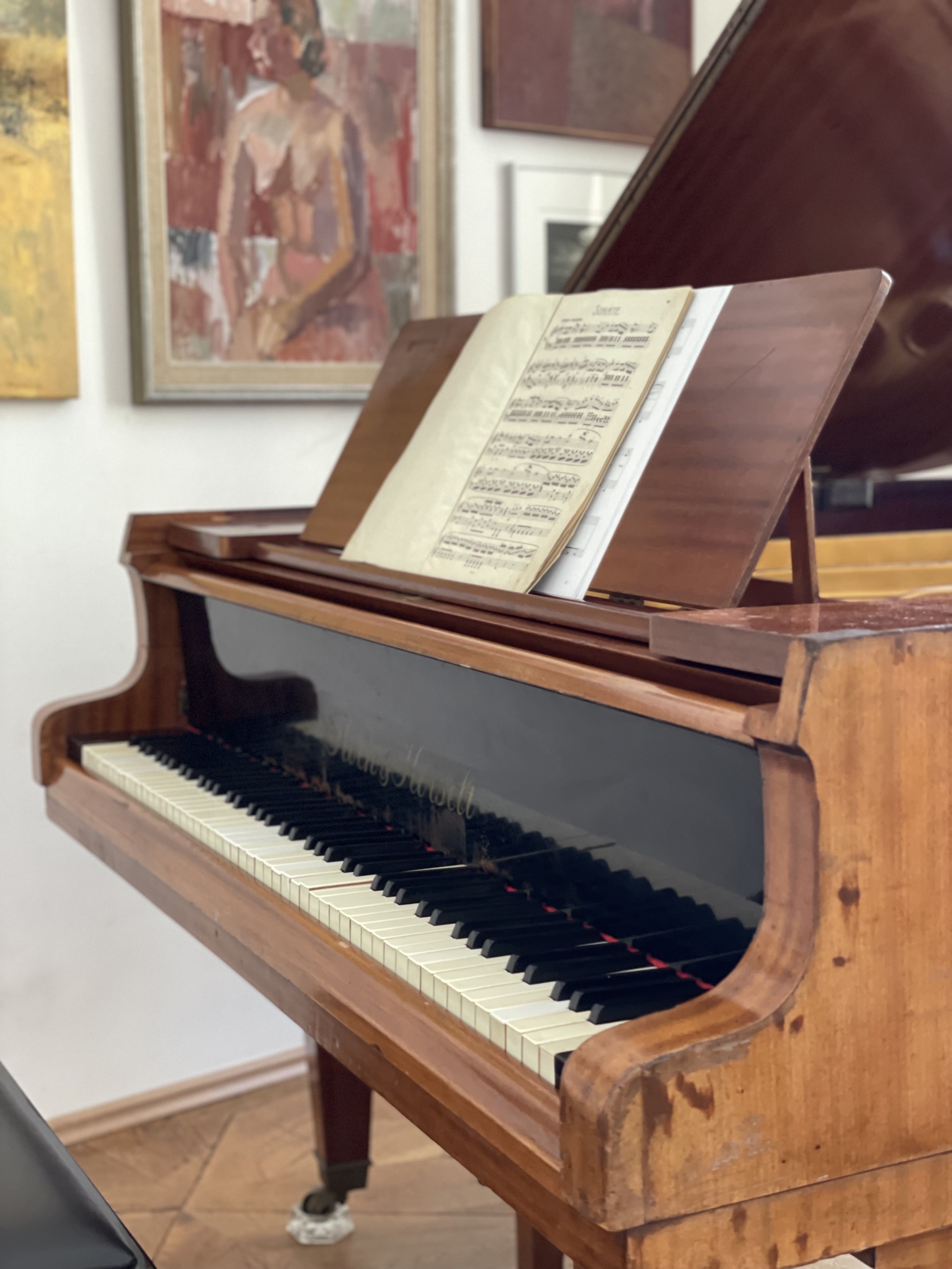 Piano Room next to the City Hall — Foto 3