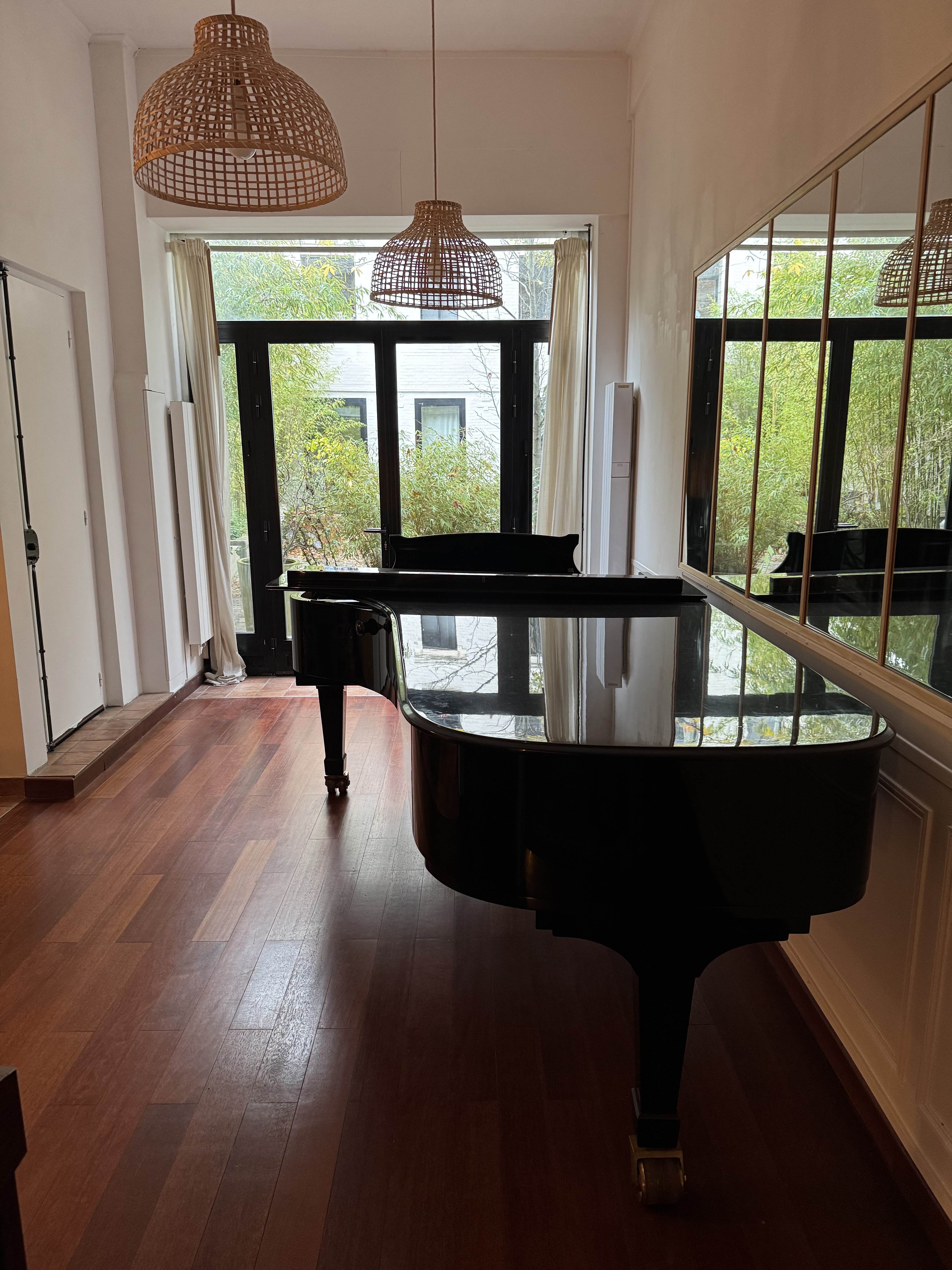 Come use my excellent Steinway D — foto 3