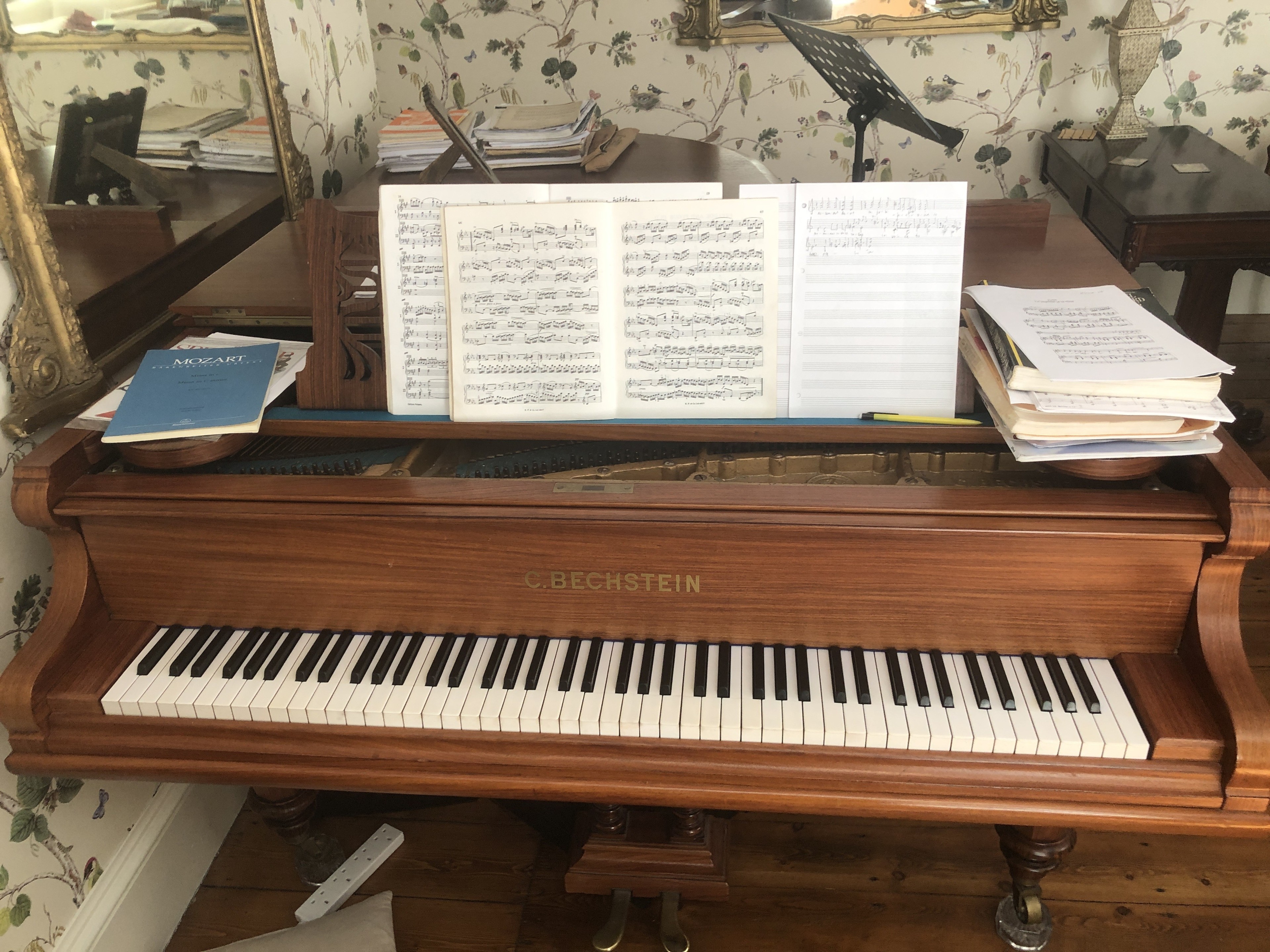 Large victorian music room with grand piano. — Foto 2