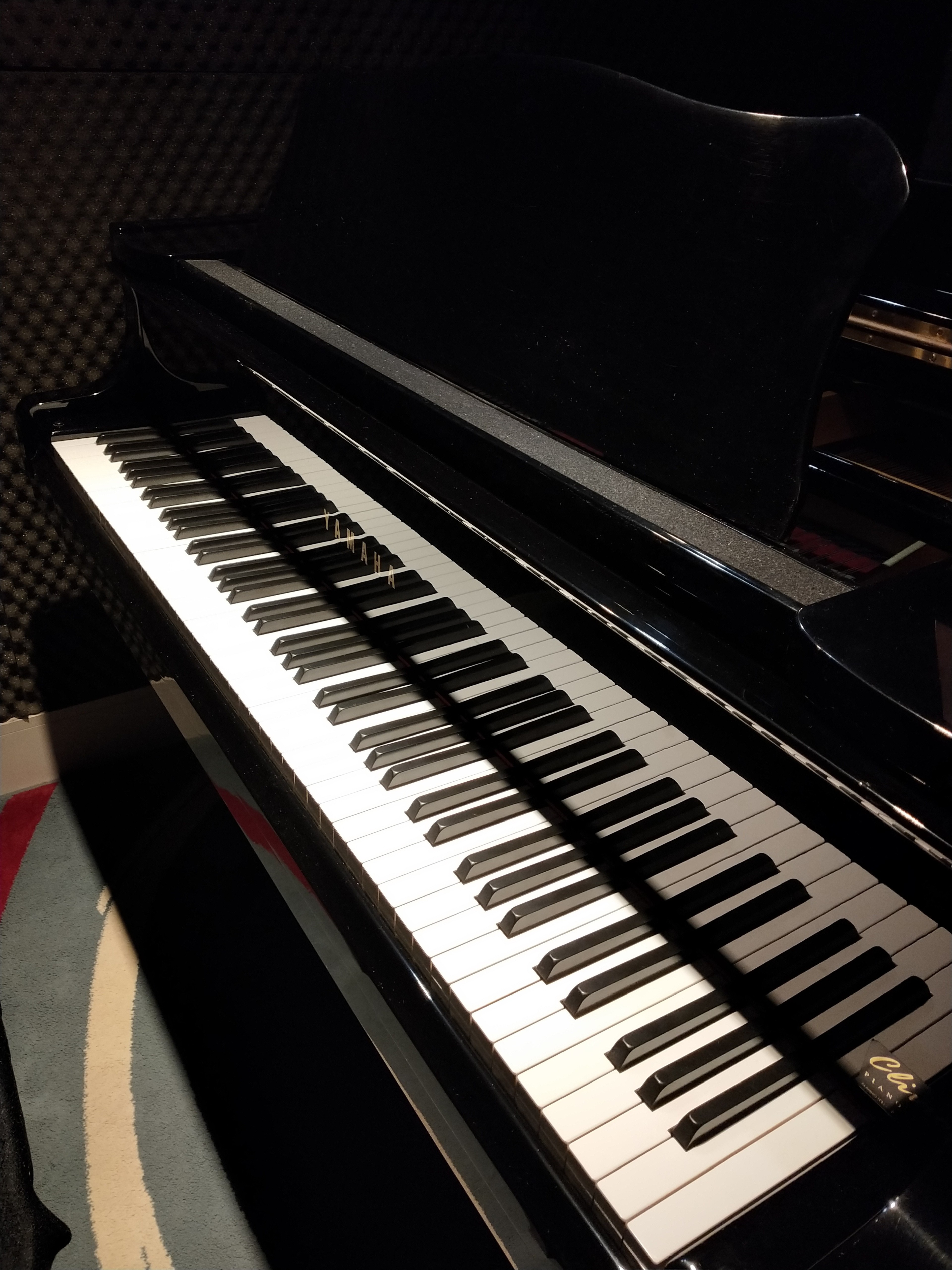 Yamaha C3 Grand Piano in Large Room — foto 3