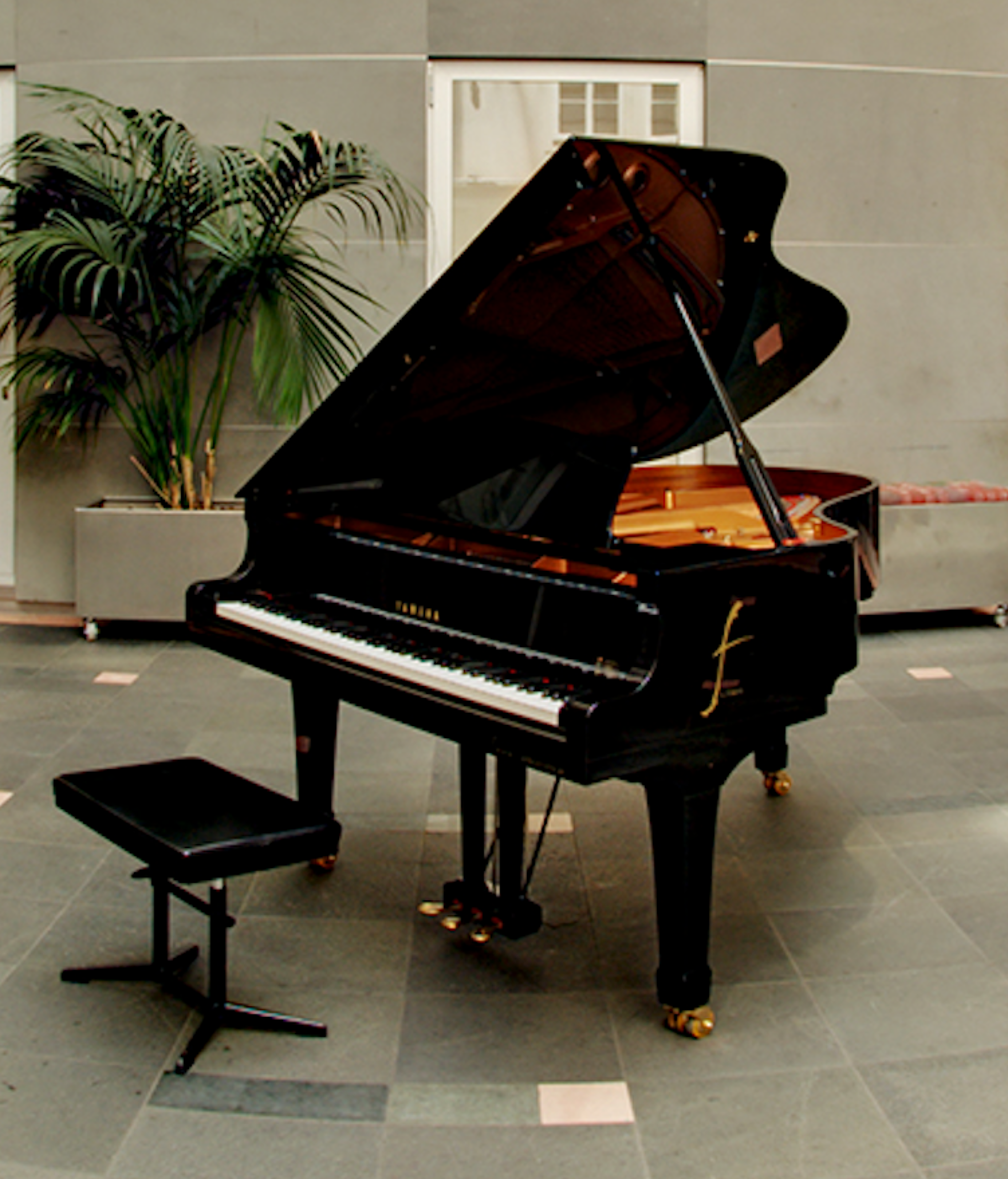 Haus der Musik | House of Music — foto 3